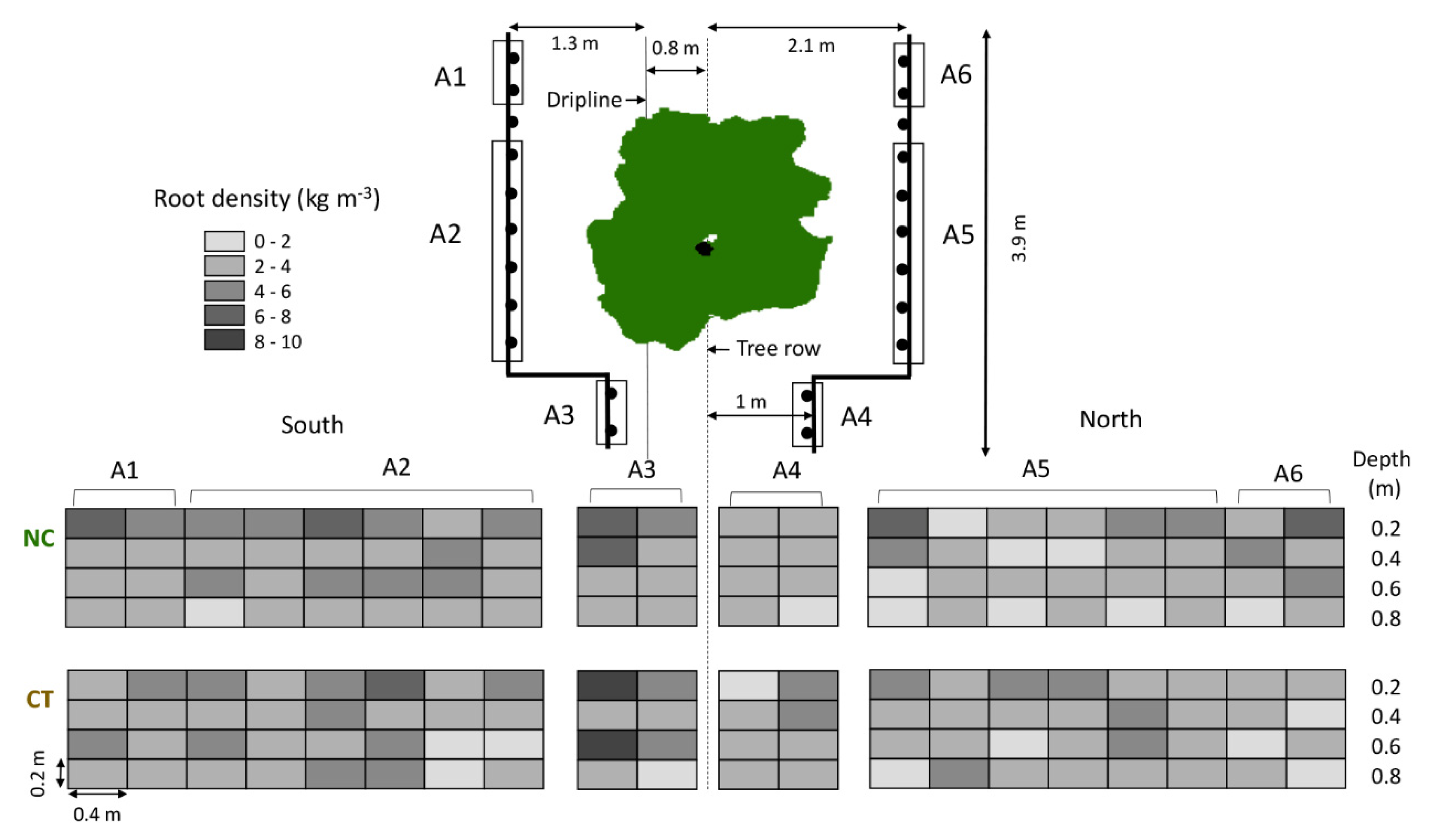 Agronomy 11 01036 g002