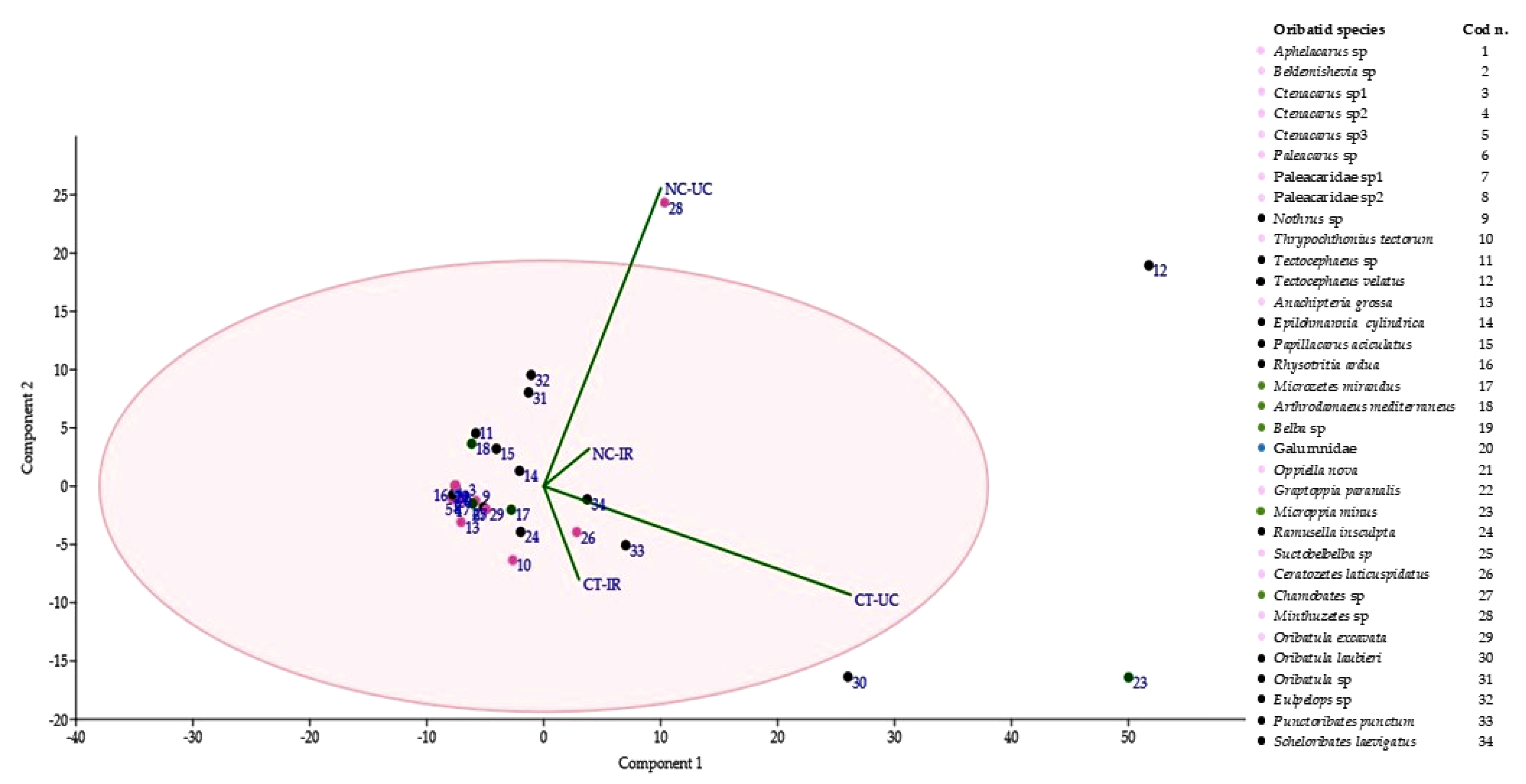 Agronomy 11 01036 g006