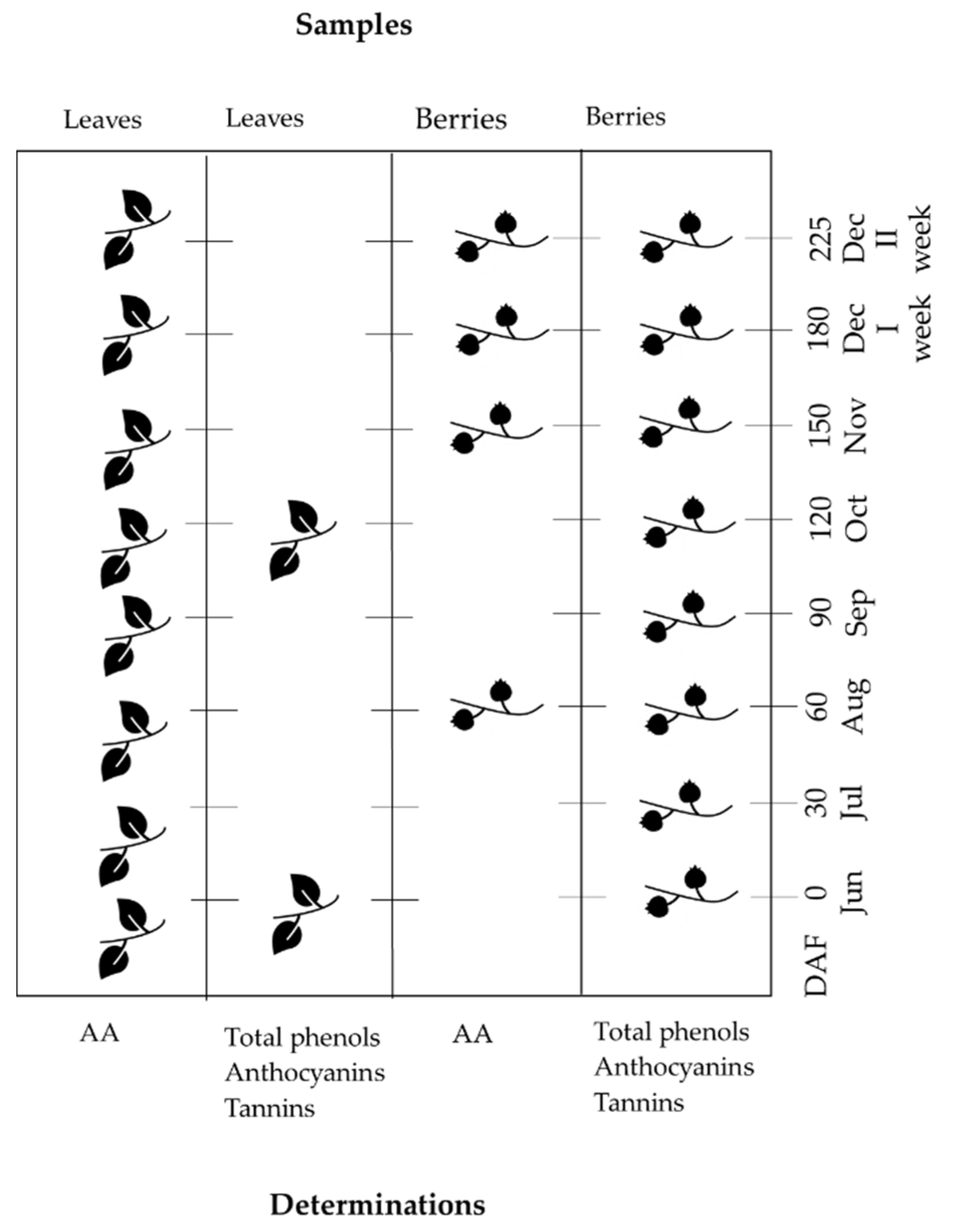 Agronomy 11 01059 g001