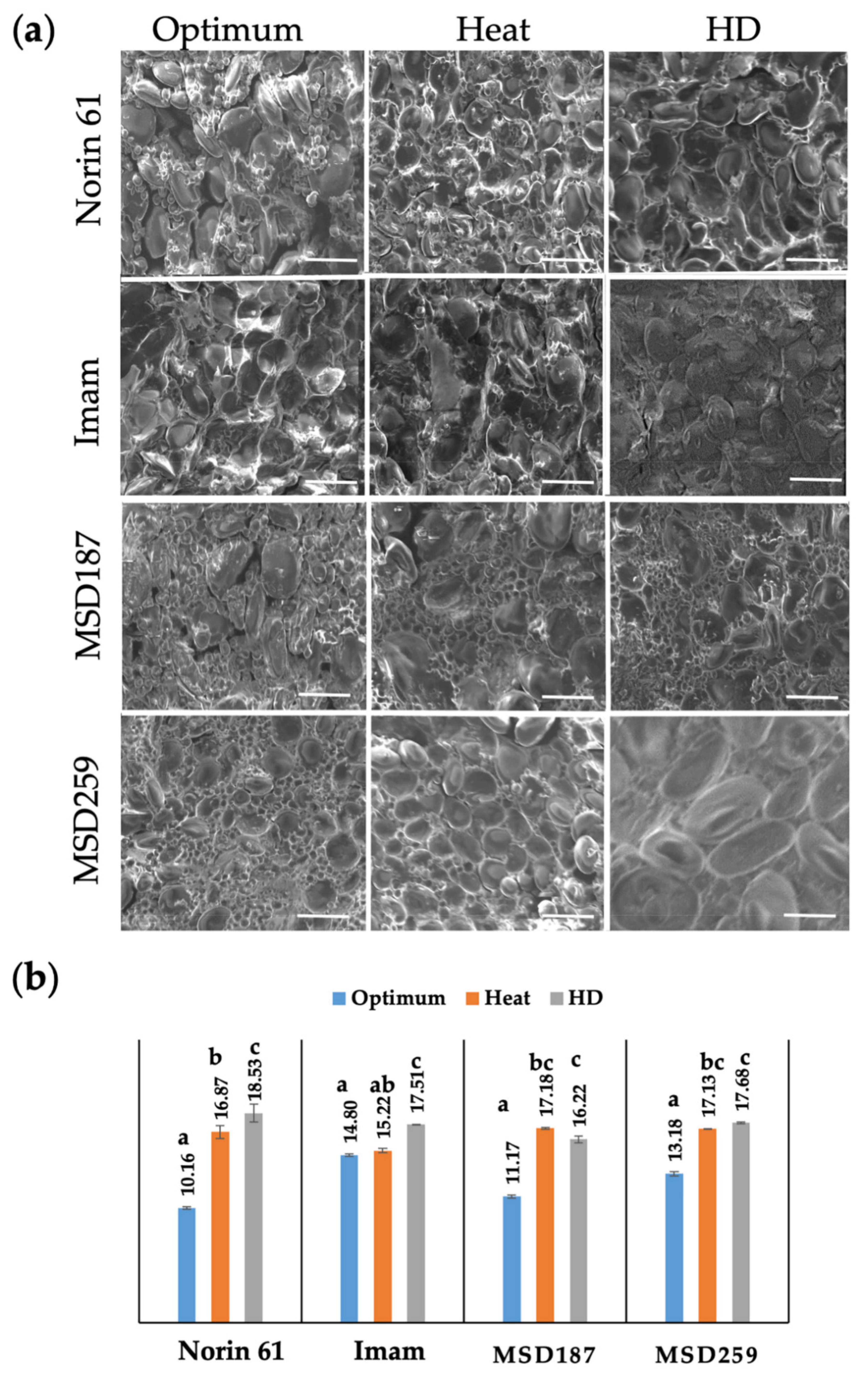 Agronomy 11 01061 g004 Agronomy 11 01061 g004