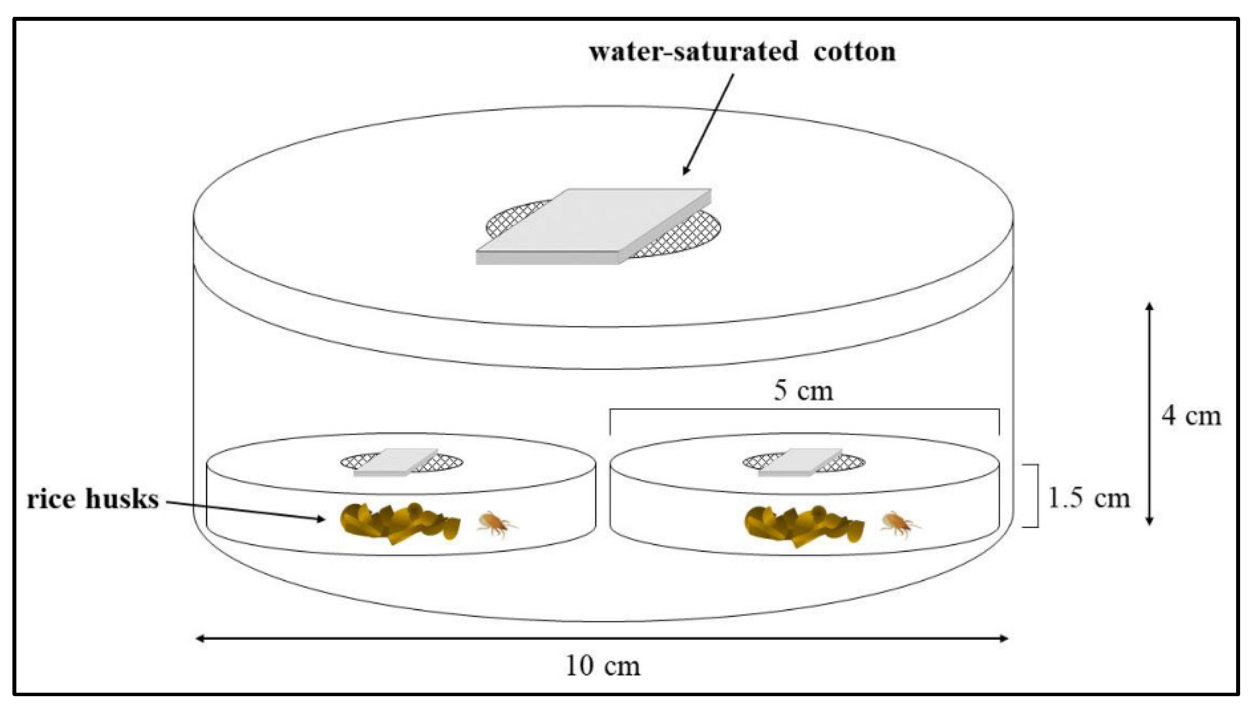 Agronomy 11 01062 g001 Agronomy 11 01062 g001