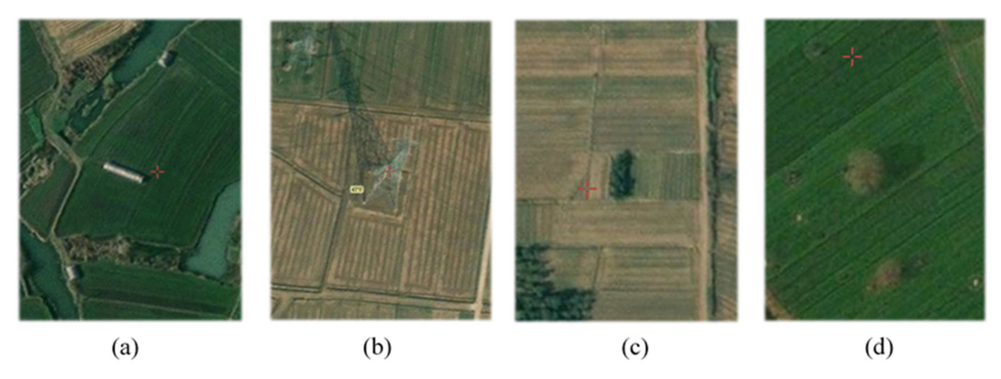 Agronomy 11 01069 g006 Agronomy 11 01069 g006