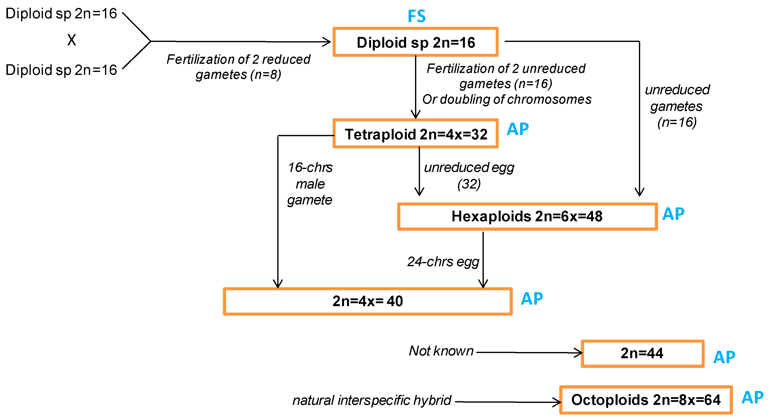 Agronomy 11 01071 g001 Agronomy 11 01071 g001