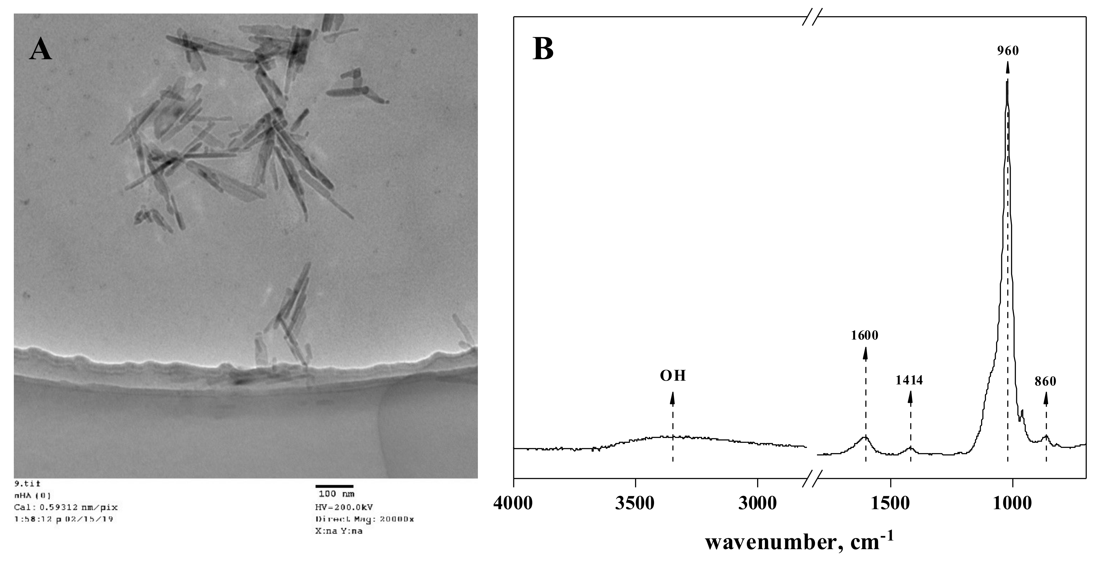 Agronomy 11 01086 g002