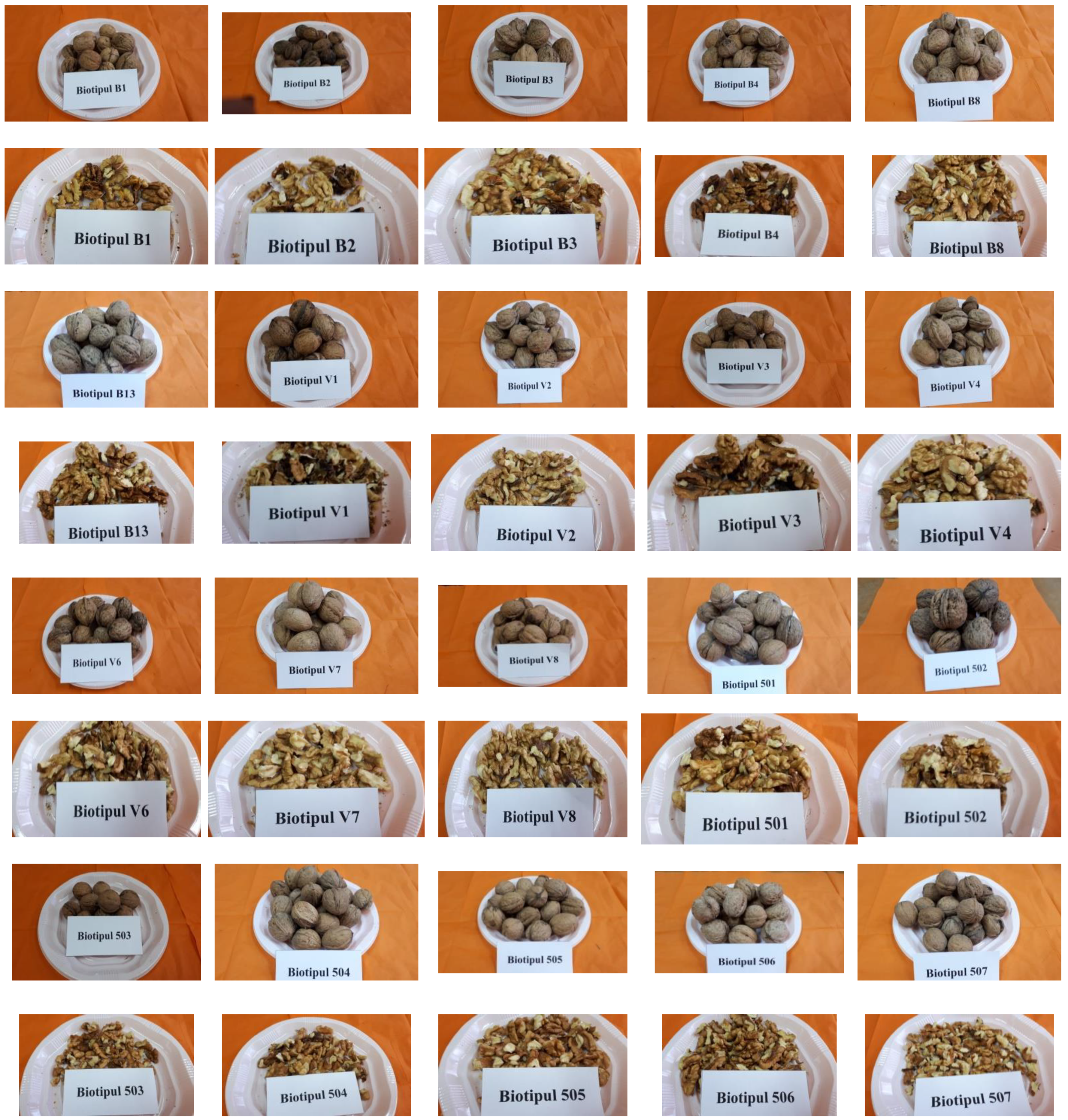 Agronomy 11 01092 g001 Agronomy 11 01092 g001