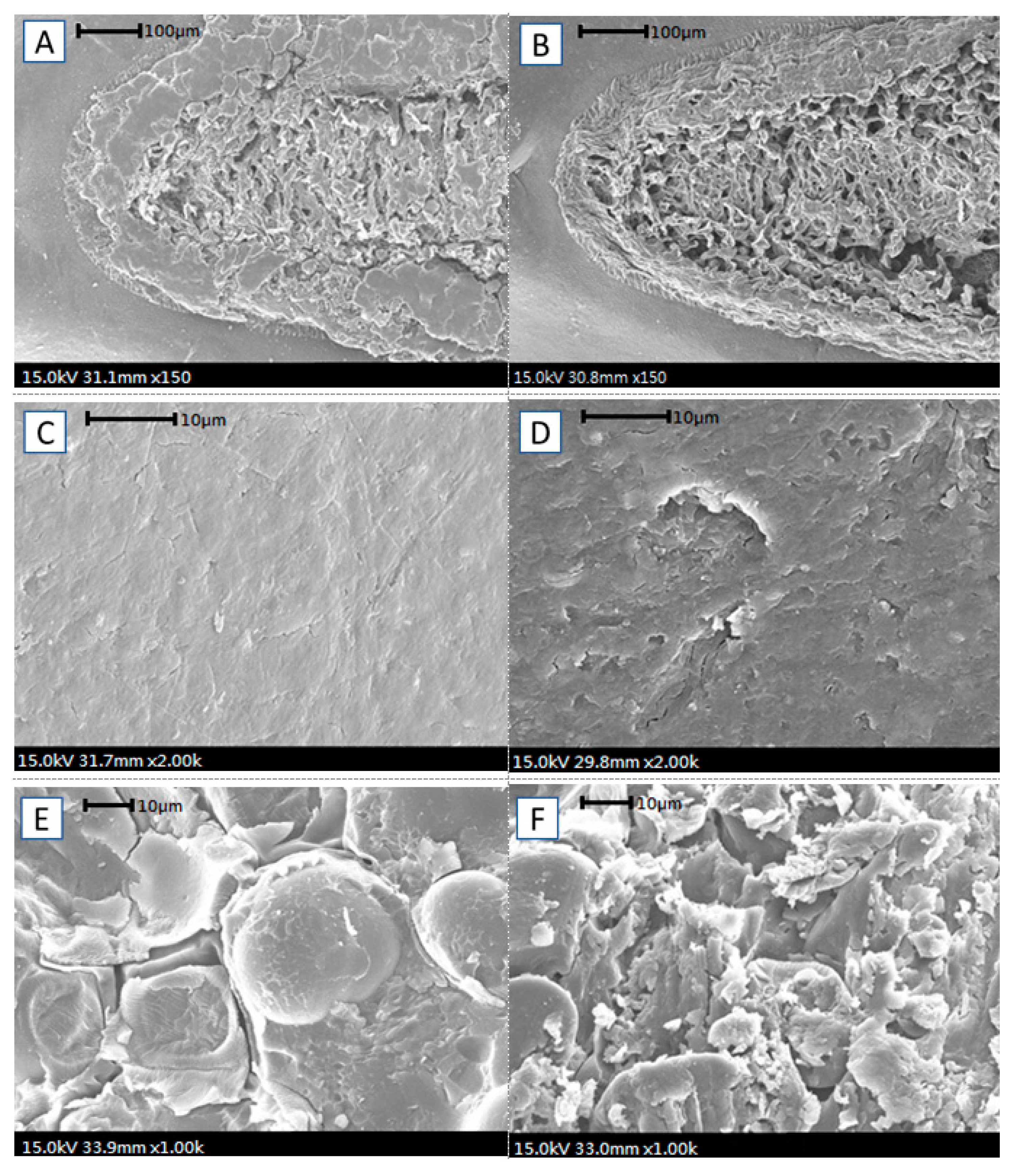 Agronomy 11 01093 g003