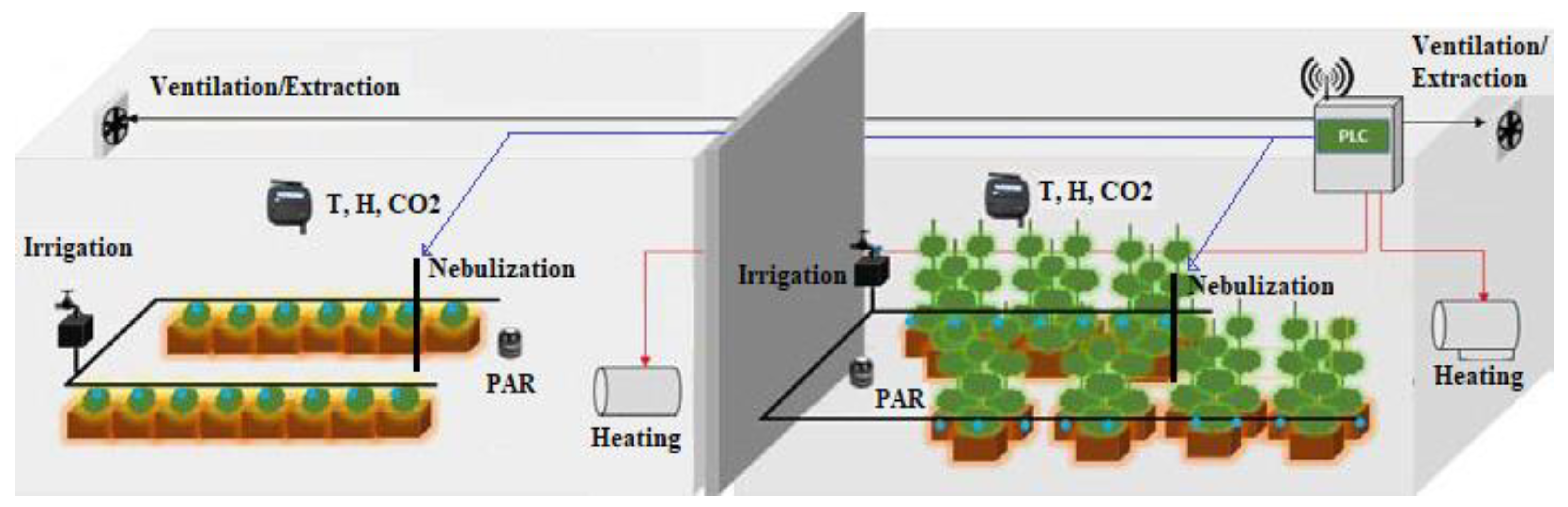 Agronomy 11 01097 g002