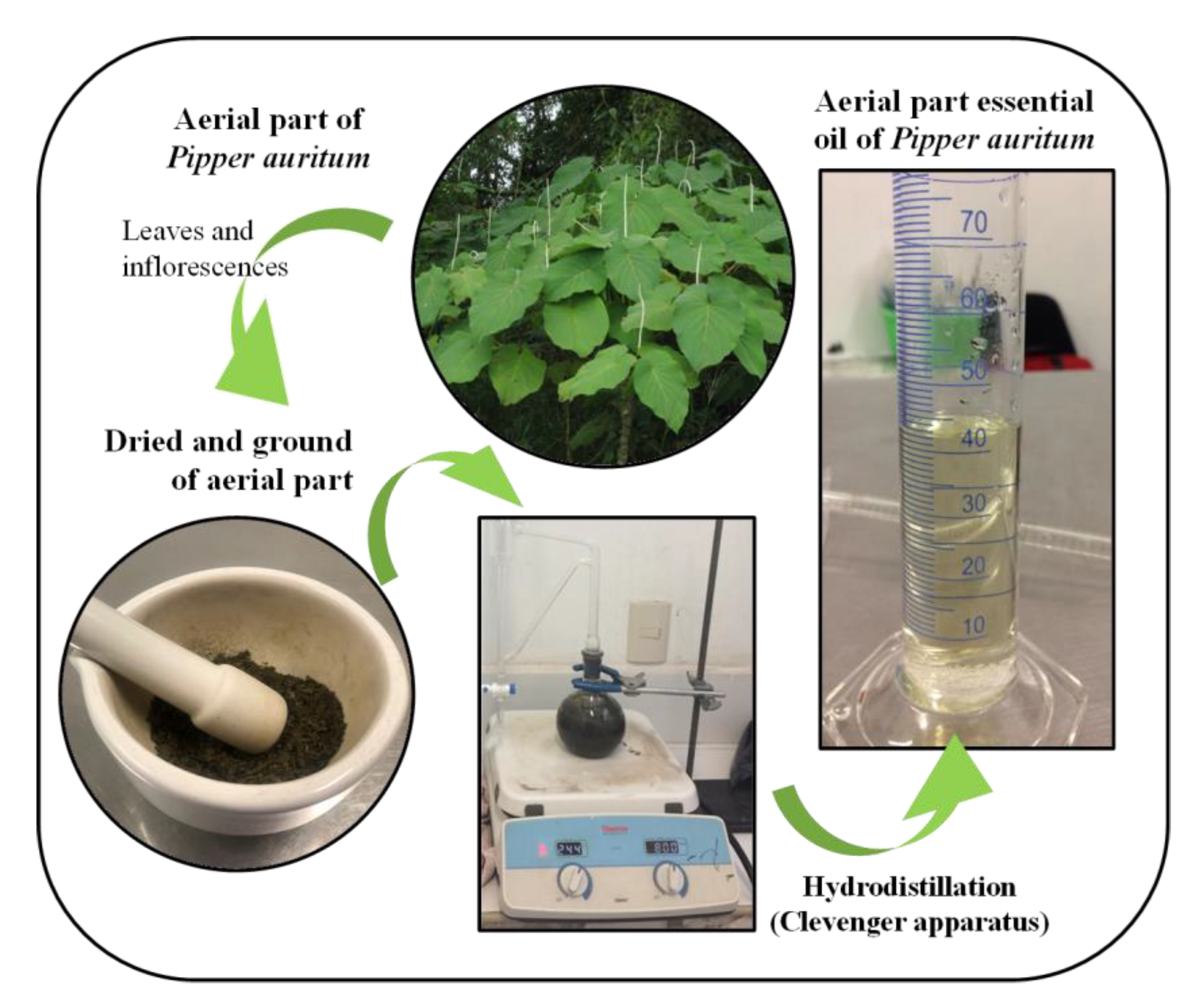 Agronomy 11 01098 g001