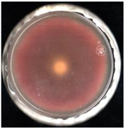 Agronomy 11 01098 i002