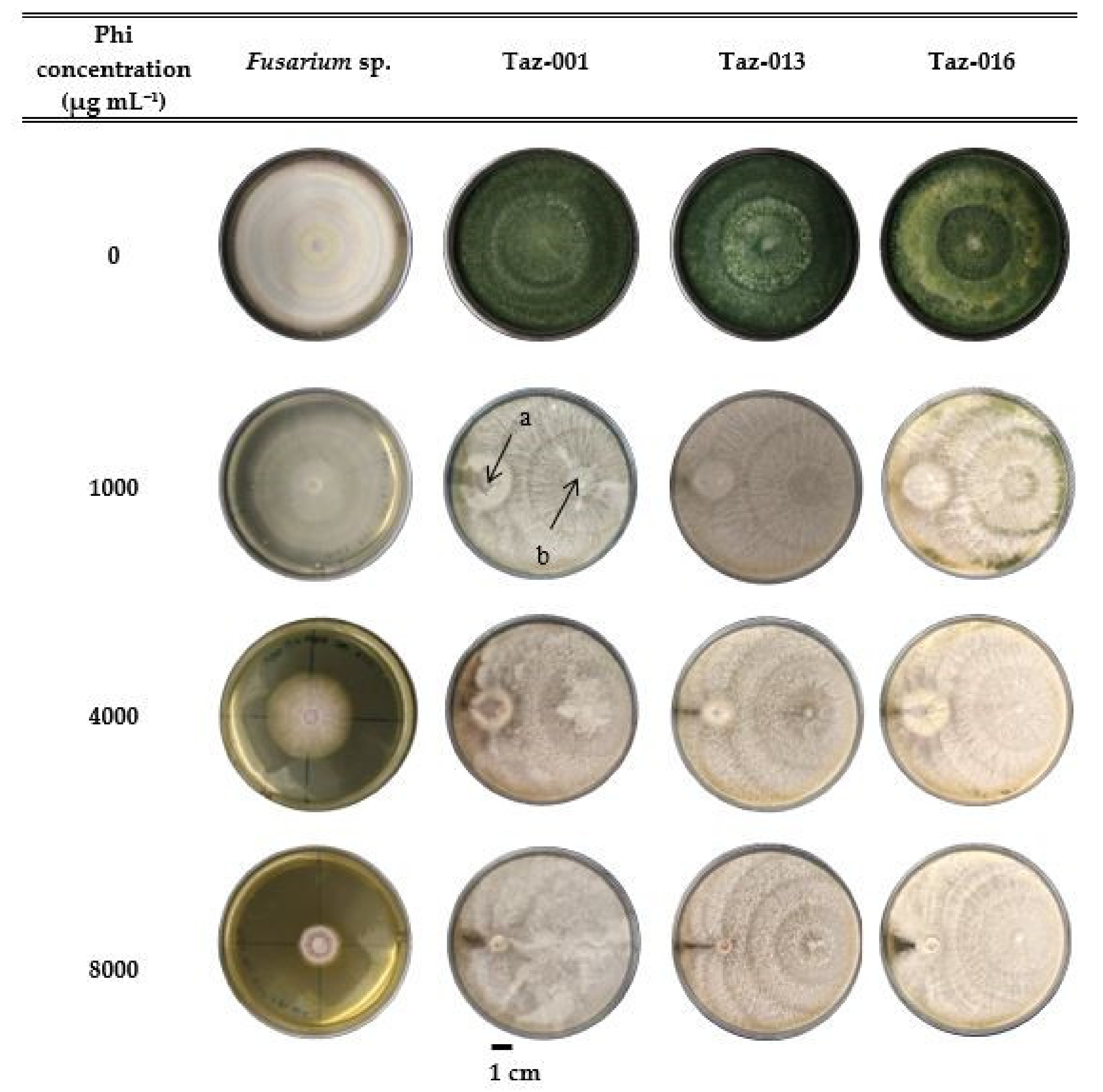 Agronomy 11 01099 g003 Agronomy 11 01099 g003