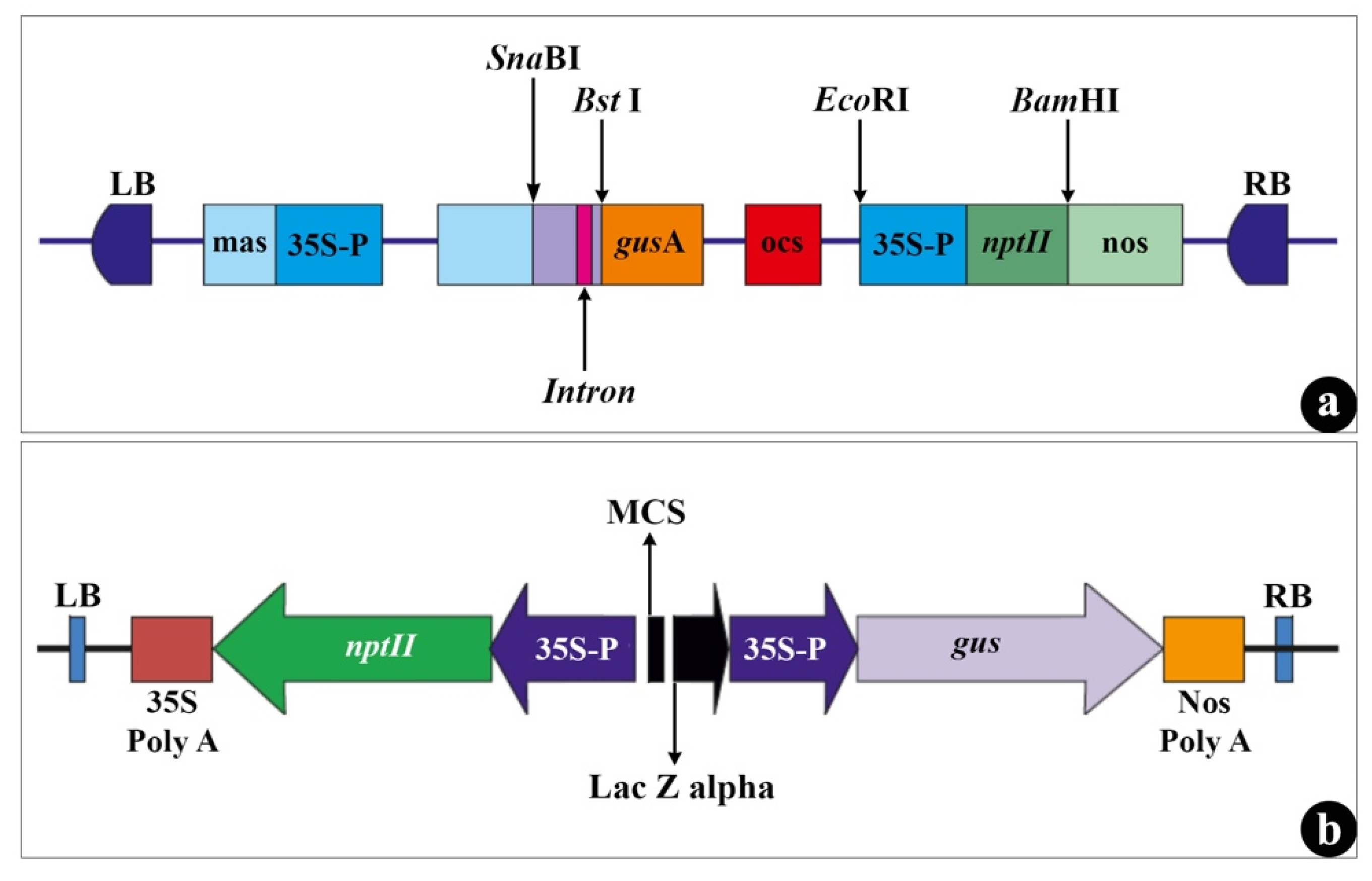 Agronomy 11 01104 g001 Agronomy 11 01104 g001