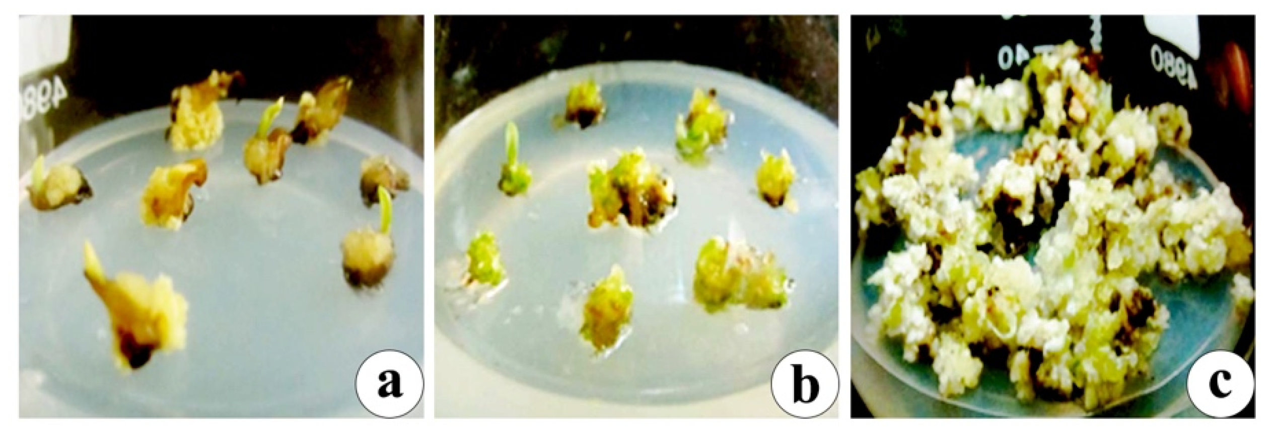 Agronomy 11 01104 g002 Agronomy 11 01104 g002