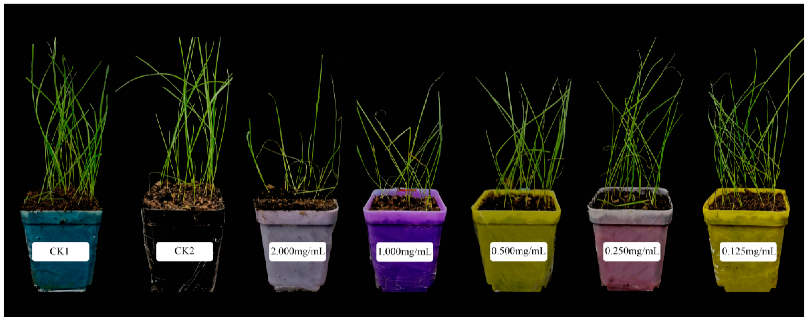 Agronomy 11 01115 g003 Agronomy 11 01115 g003