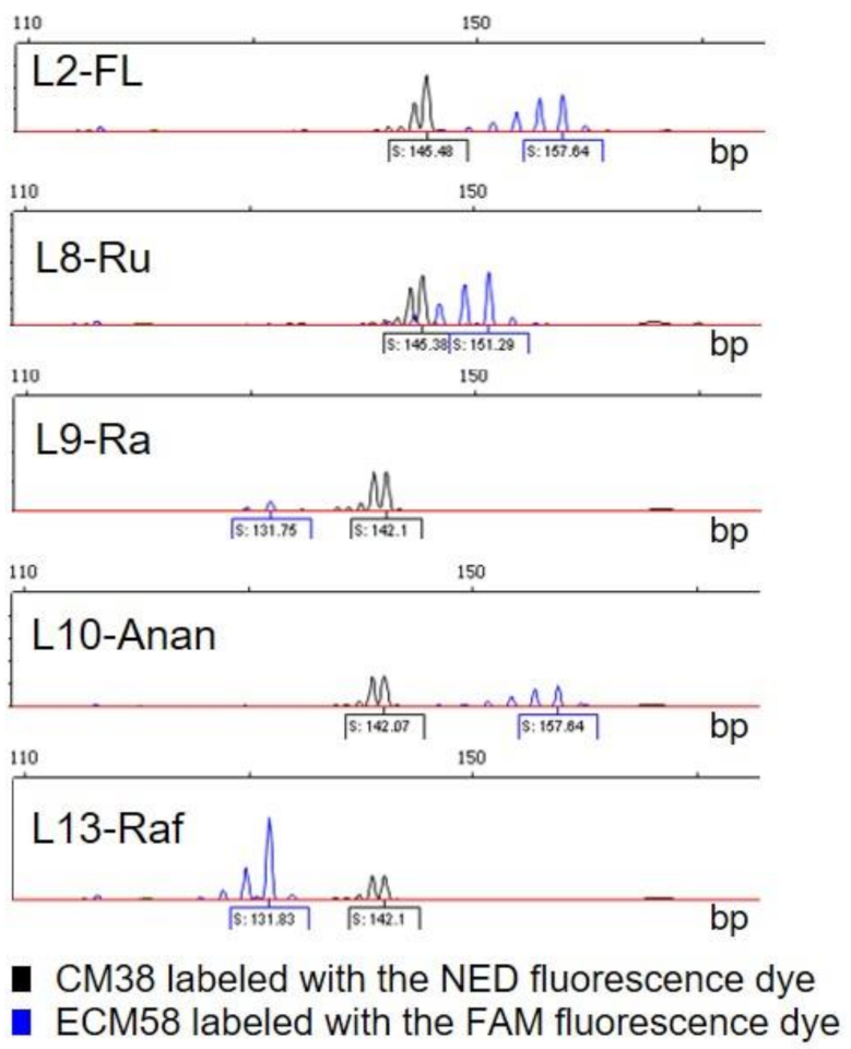 Agronomy 11 01121 g004
