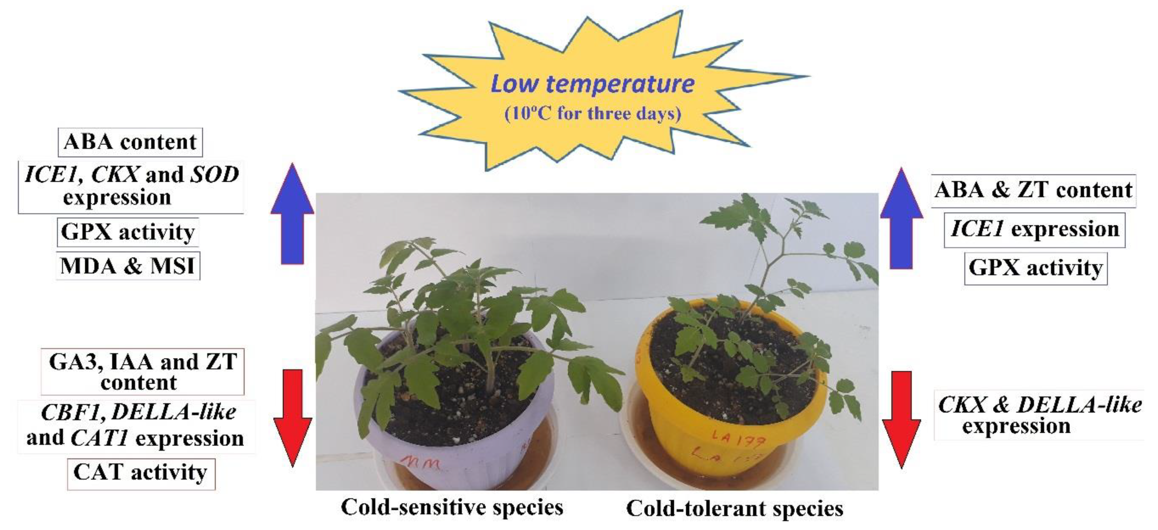 Agronomy 11 01146 g005 Agronomy 11 01146 g005