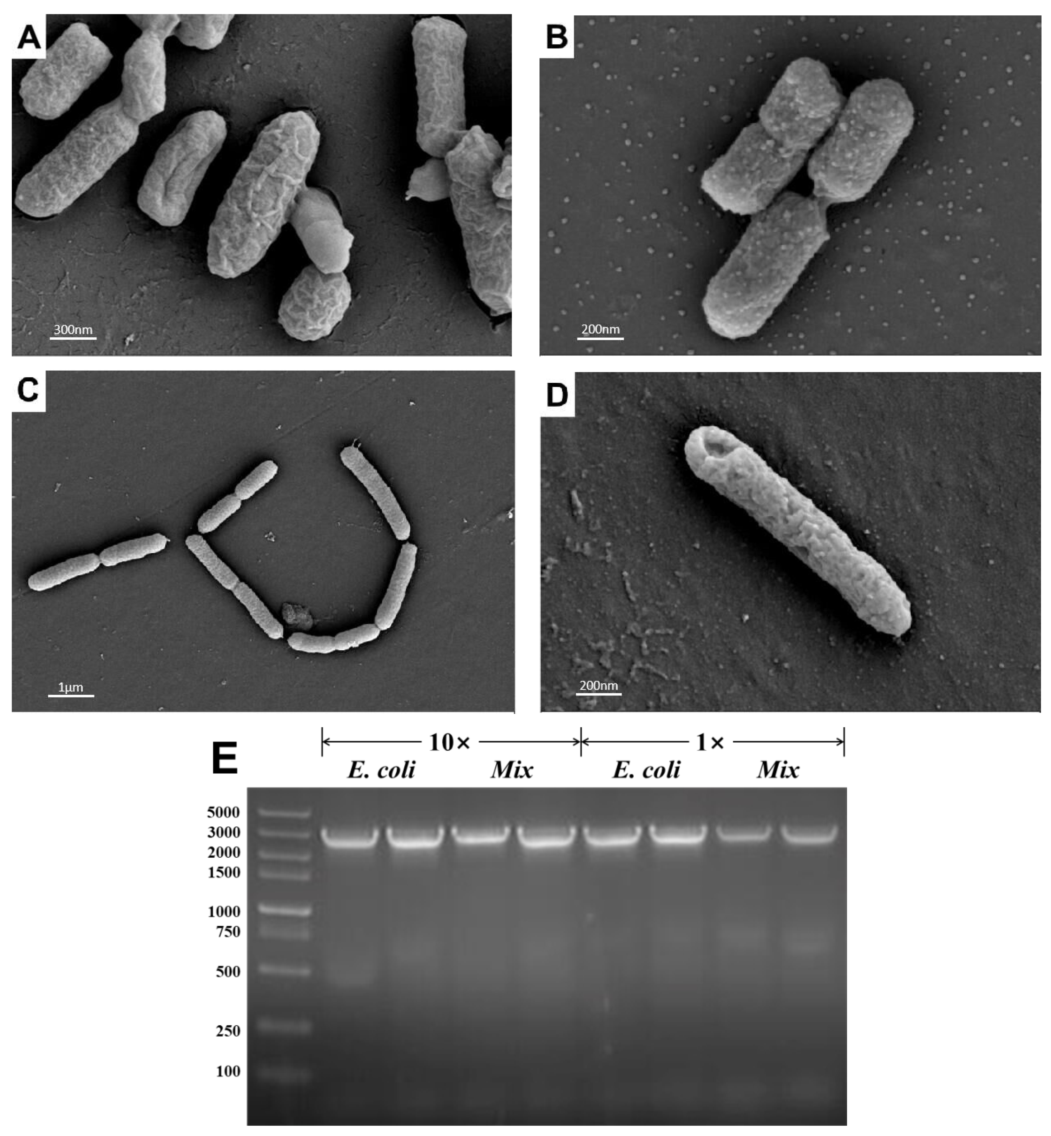 Agronomy 11 01159 g006 Agronomy 11 01159 g006