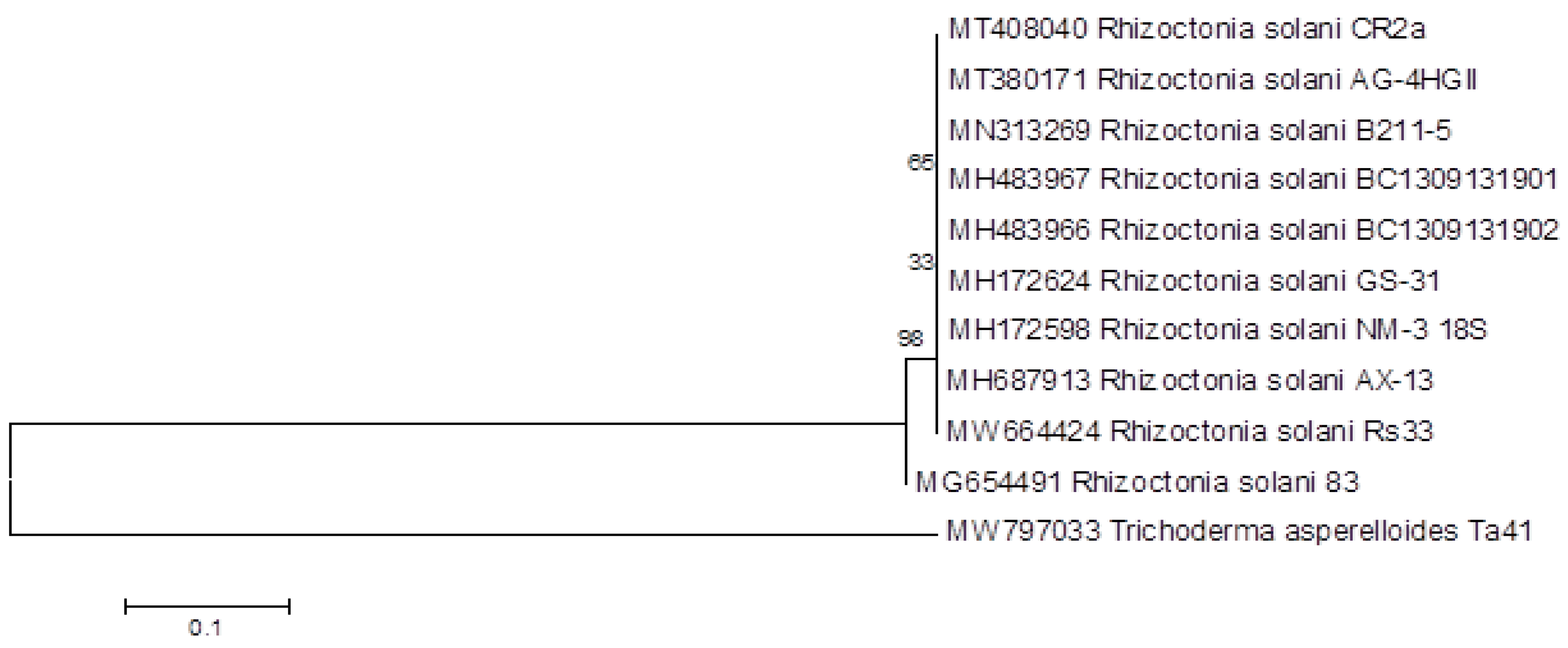 Agronomy 11 01162 g001 Agronomy 11 01162 g001