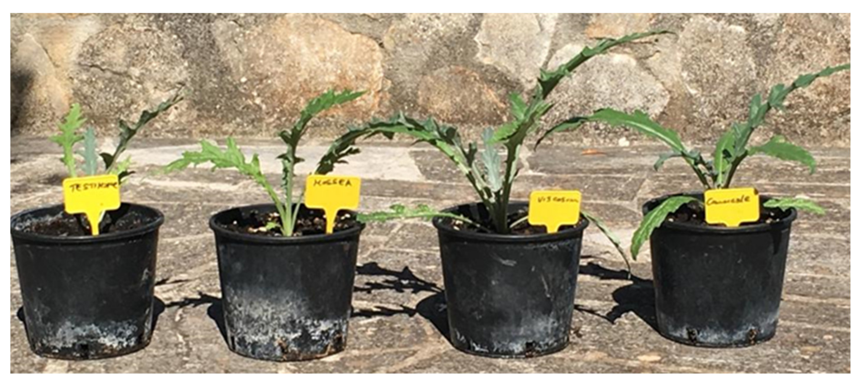 Agronomy 11 01169 g005 Agronomy 11 01169 g005