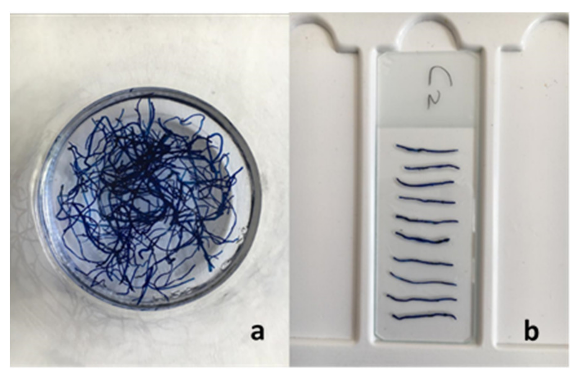 Agronomy 11 01169 g006 Agronomy 11 01169 g006