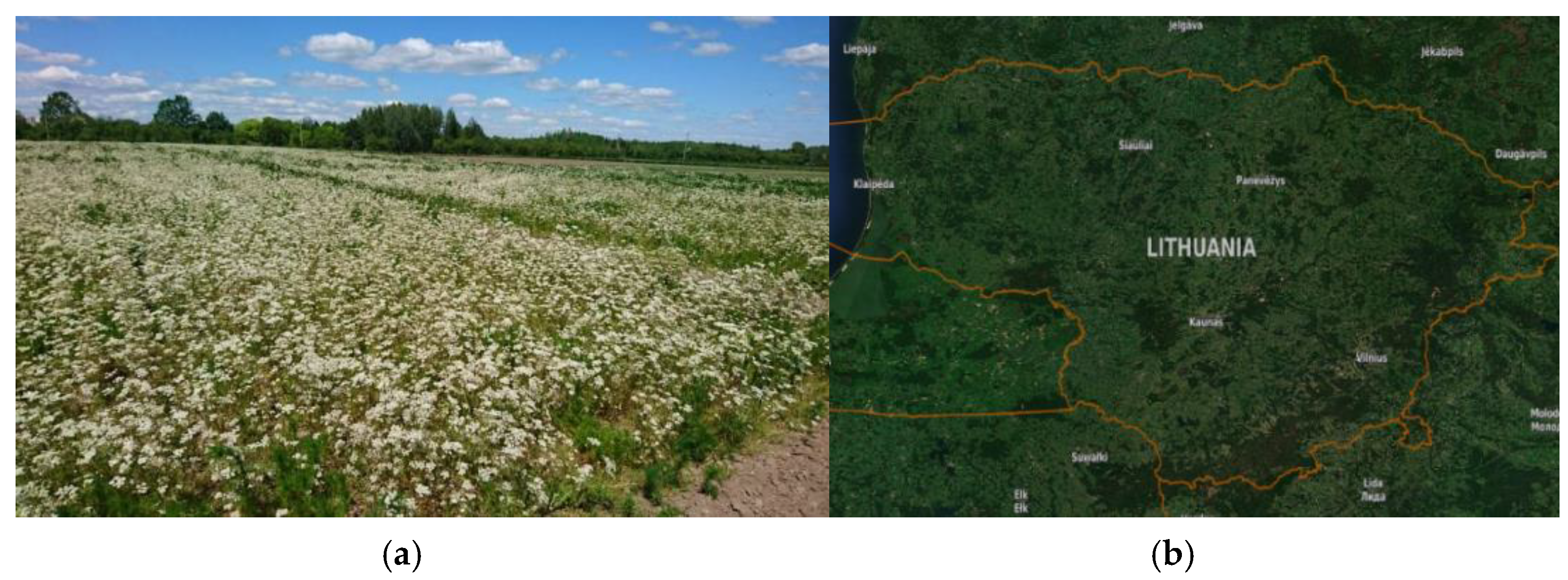 Agronomy 11 01172 g001 Agronomy 11 01172 g001