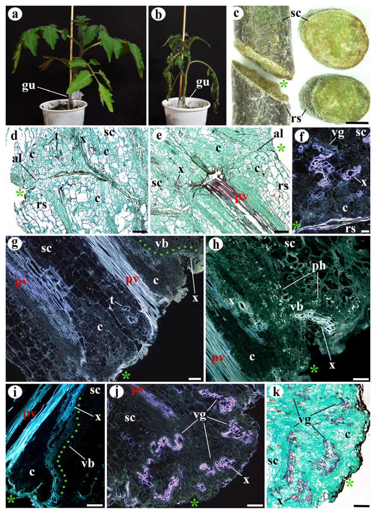 Agronomy 11 01197 g002