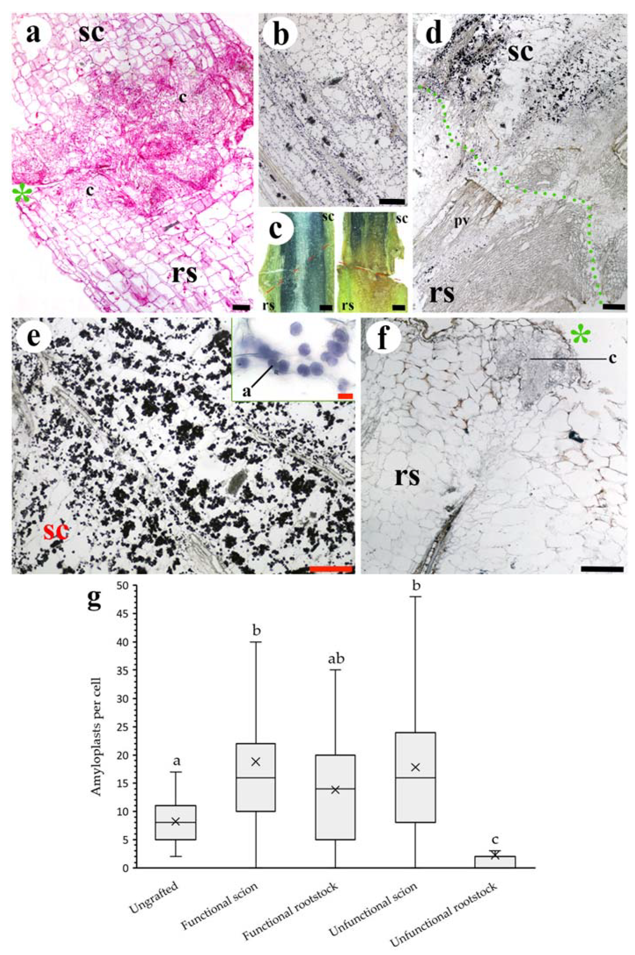 Agronomy 11 01197 g003