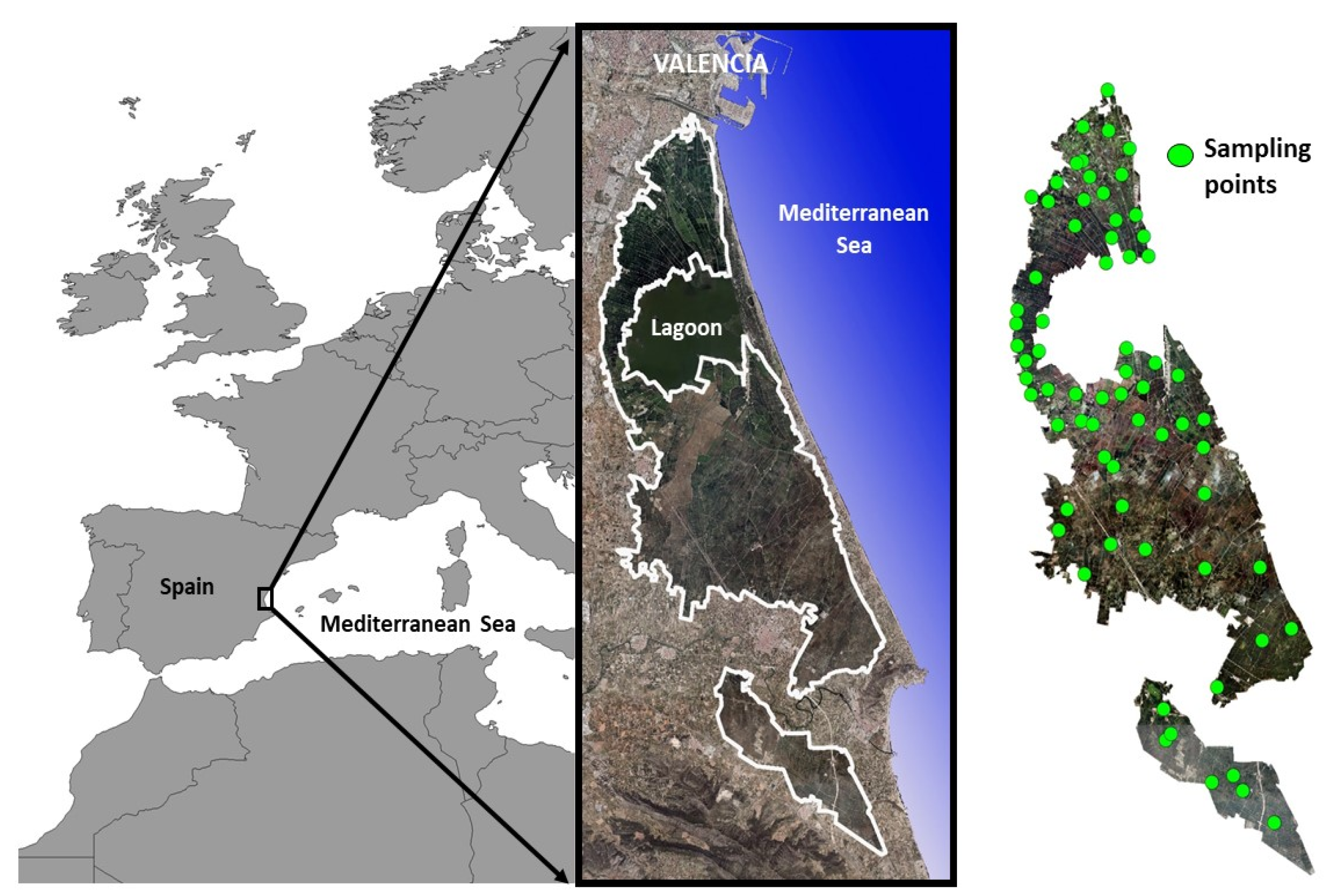 Agronomy 11 01199 g001 Agronomy 11 01199 g001