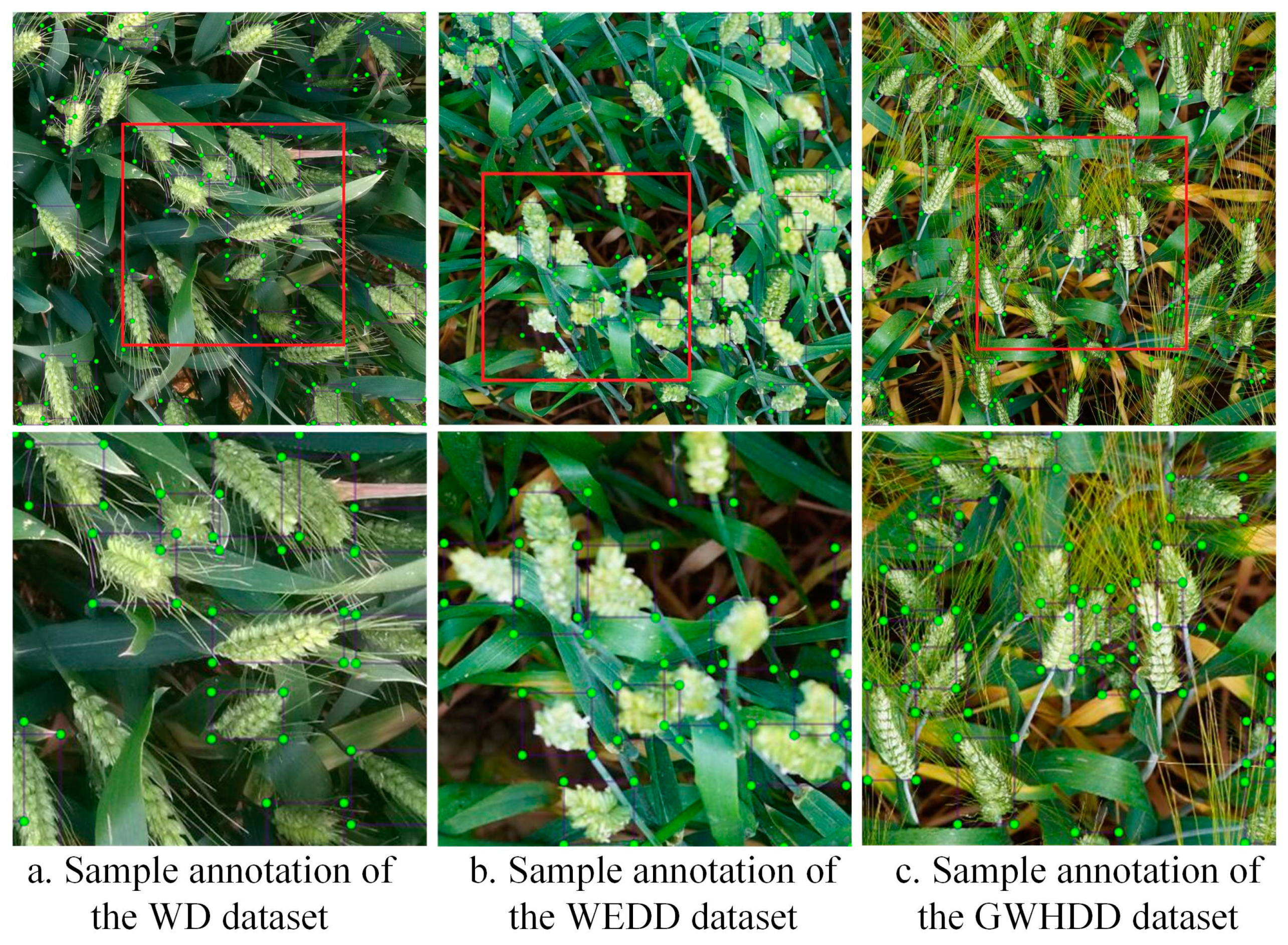 Agronomy 11 01202 g002