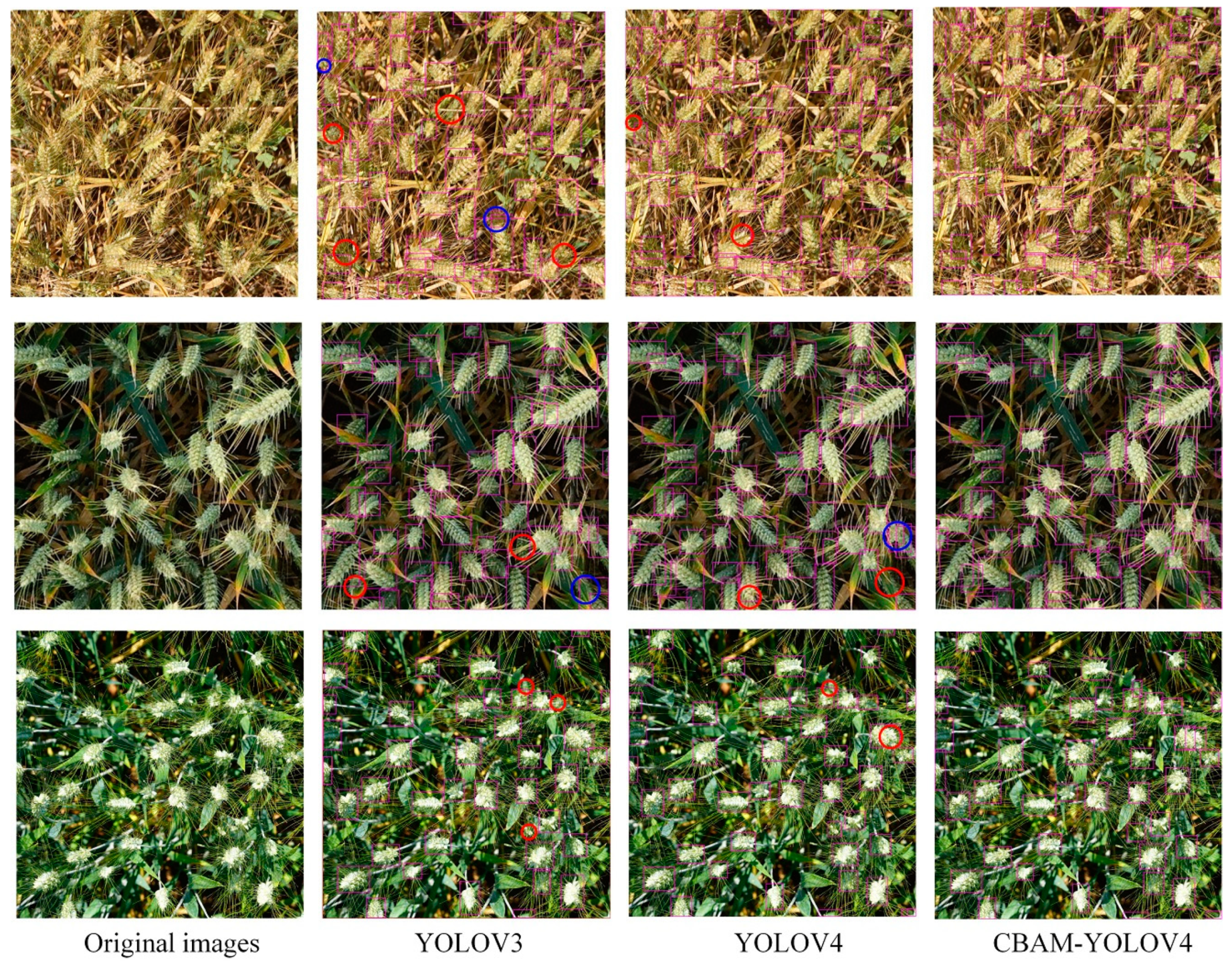 Agronomy 11 01202 g011