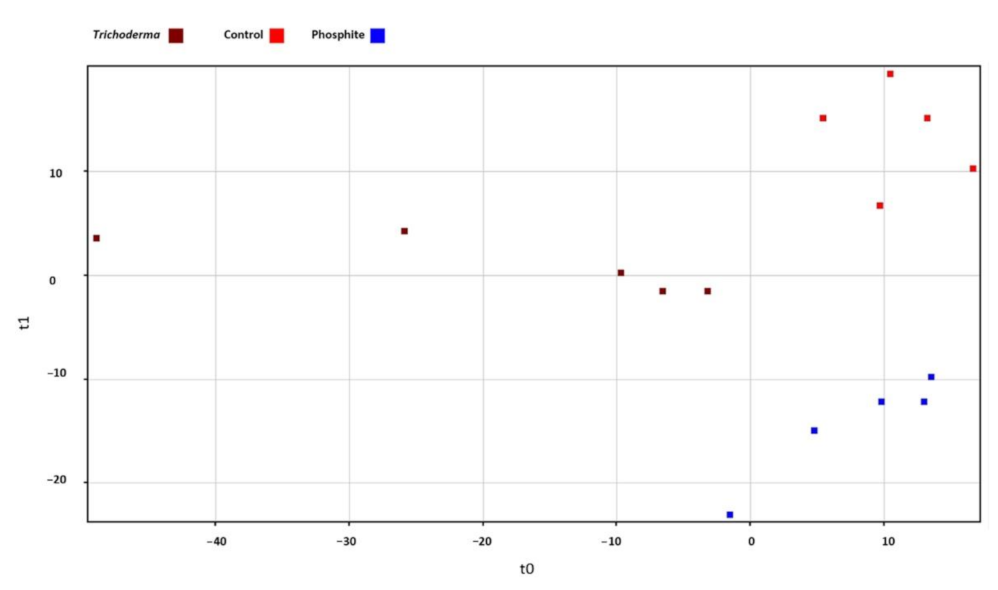 Agronomy 11 01205 g002