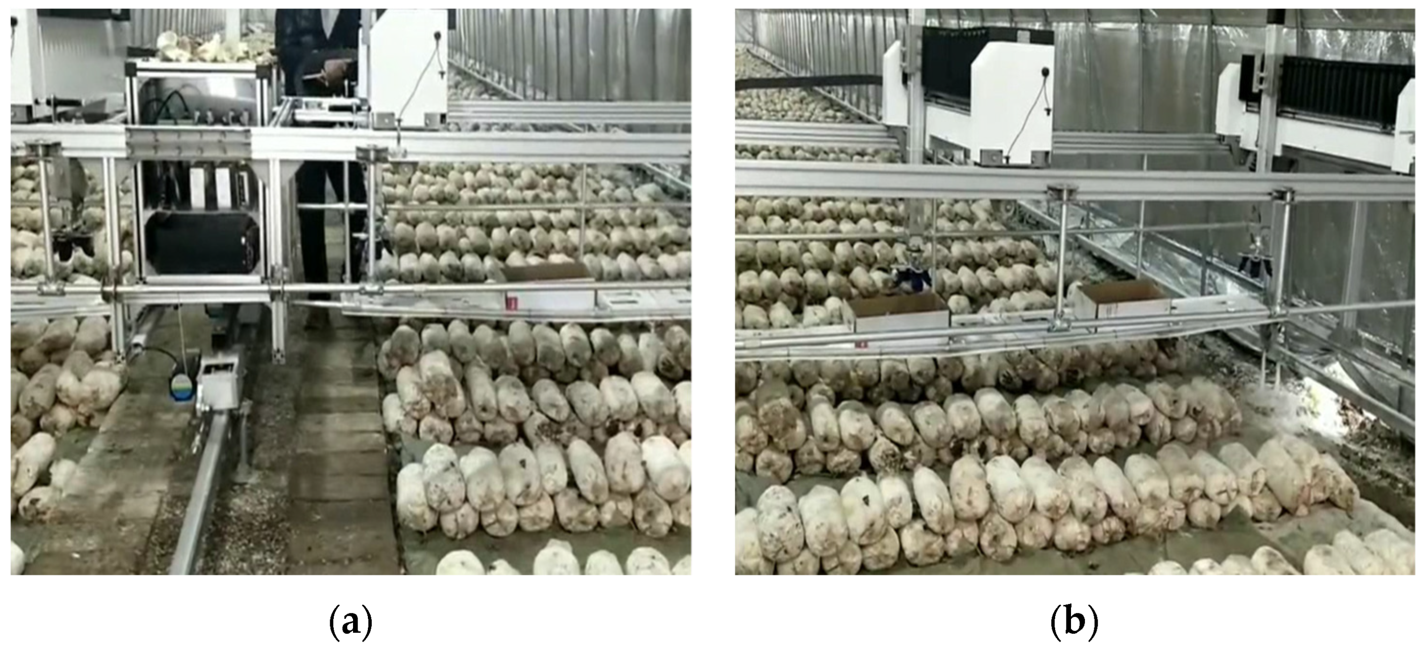 Agronomy 11 01210 g014a