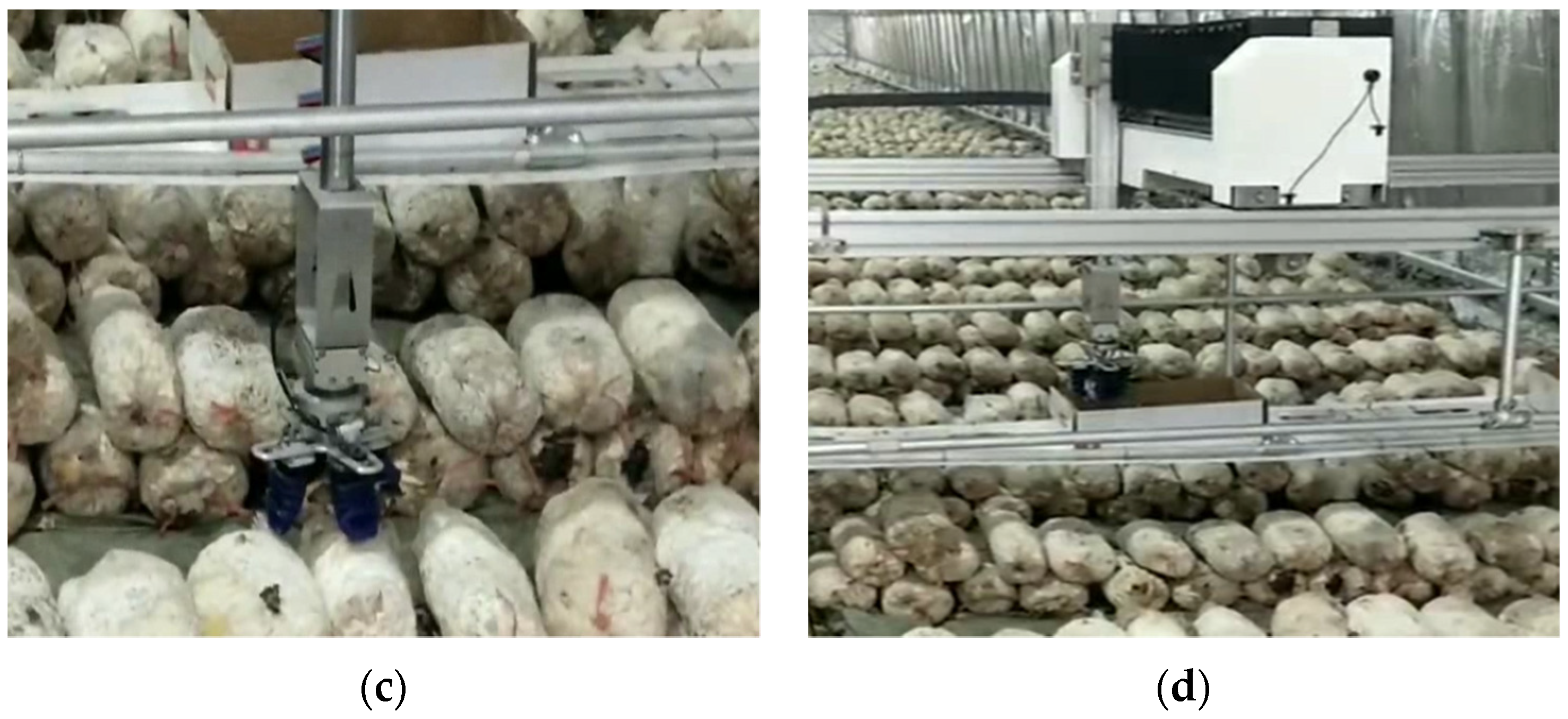 Agronomy 11 01210 g014b