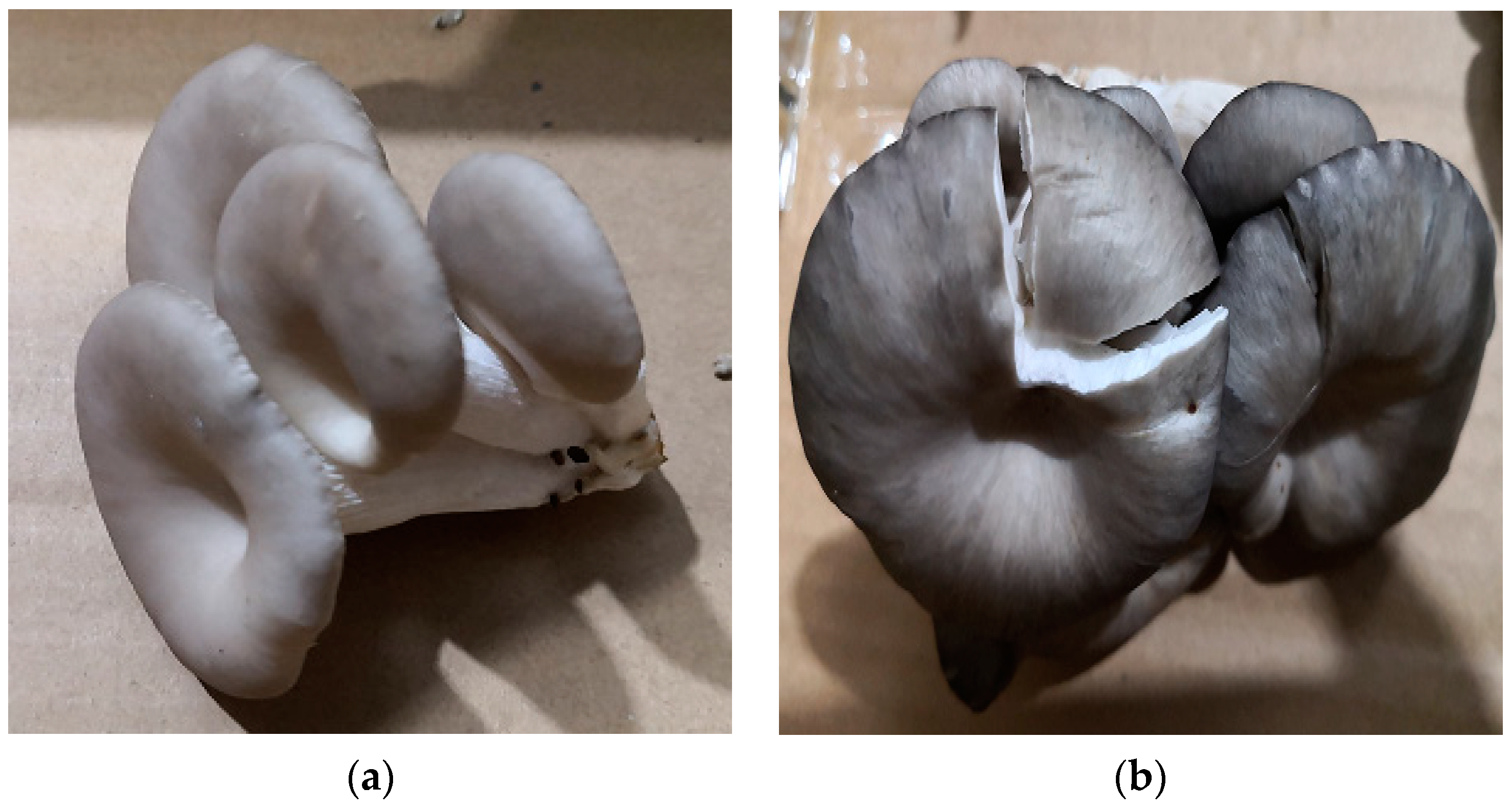 Agronomy 11 01210 g015