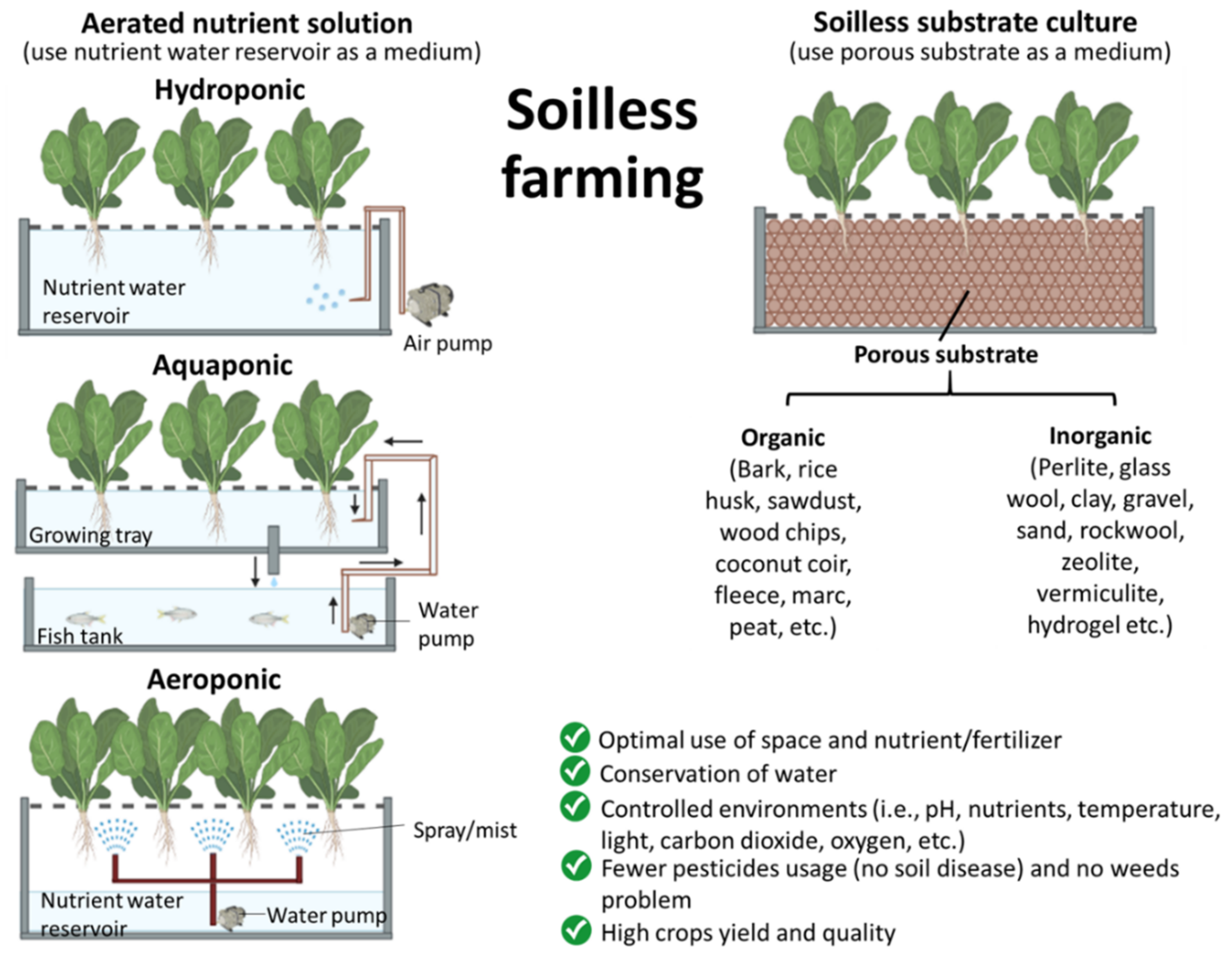 How to Adjust pH Of Hydroponic Nutrient Solution - NoSoilSolutions