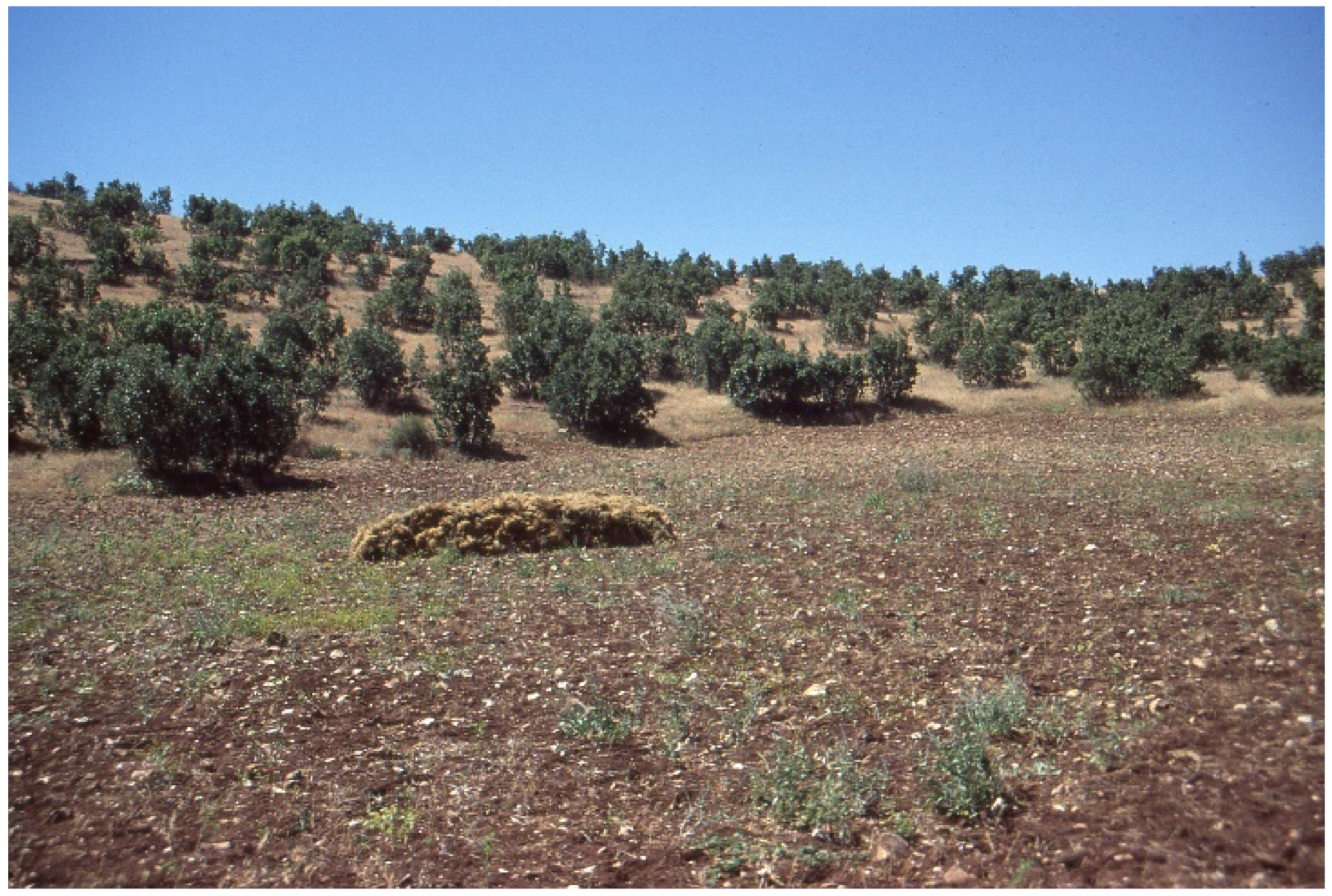 Agronomy 11 01215 g005 Agronomy 11 01215 g005