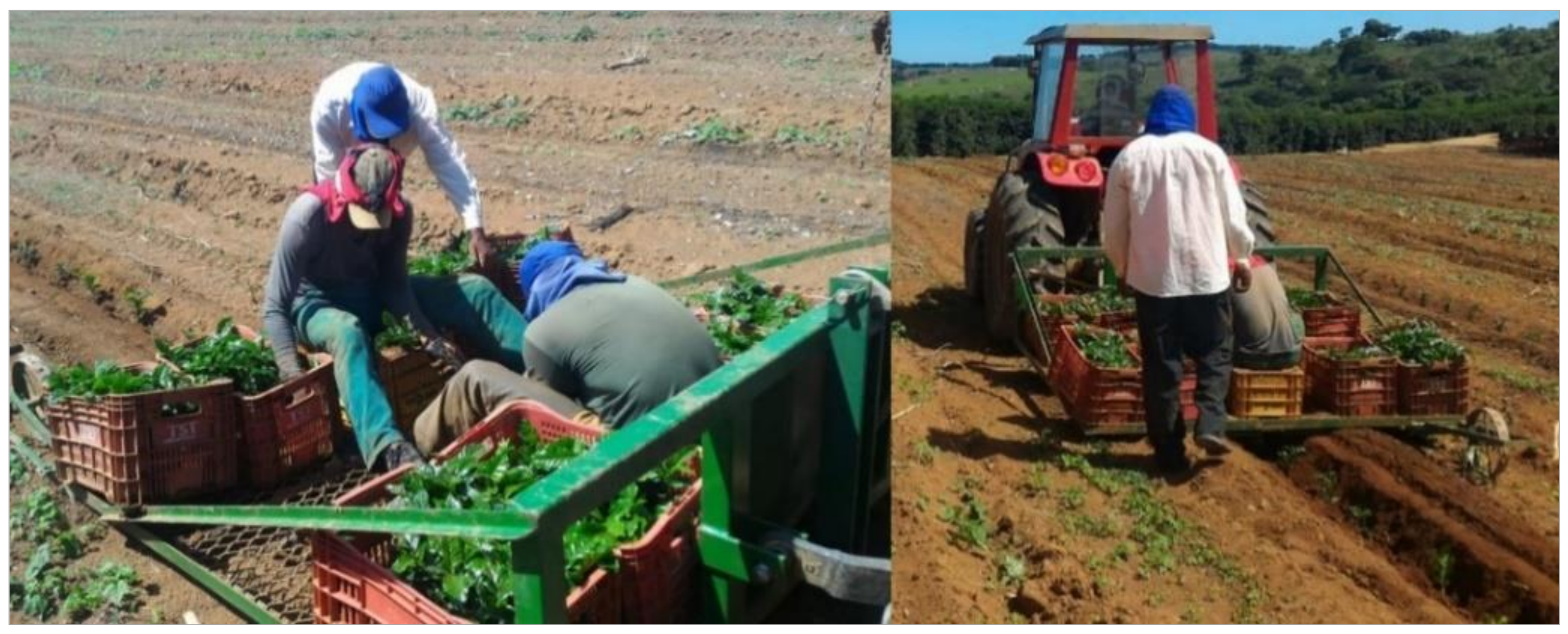 Agronomy 11 01224 g002 Agronomy 11 01224 g002