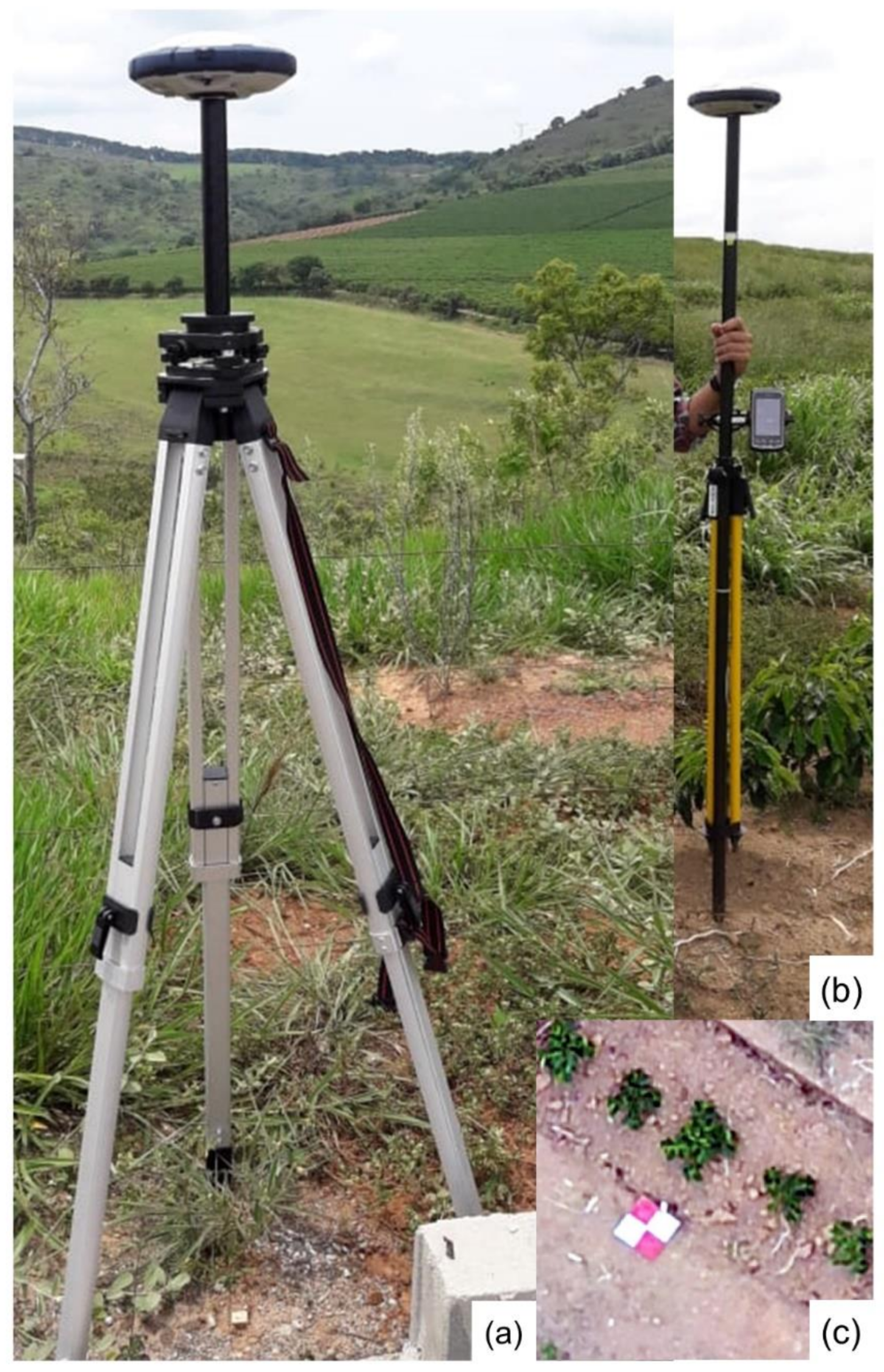 Agronomy 11 01224 g004 Agronomy 11 01224 g004