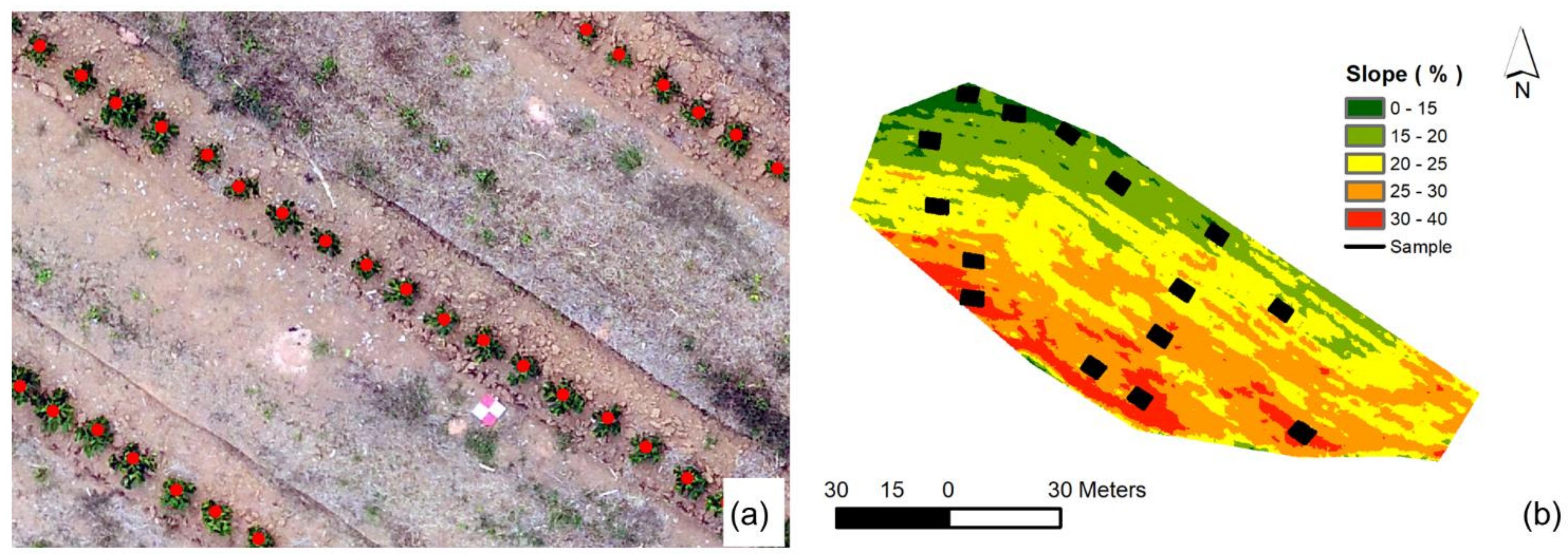 Agronomy 11 01224 g006 Agronomy 11 01224 g006