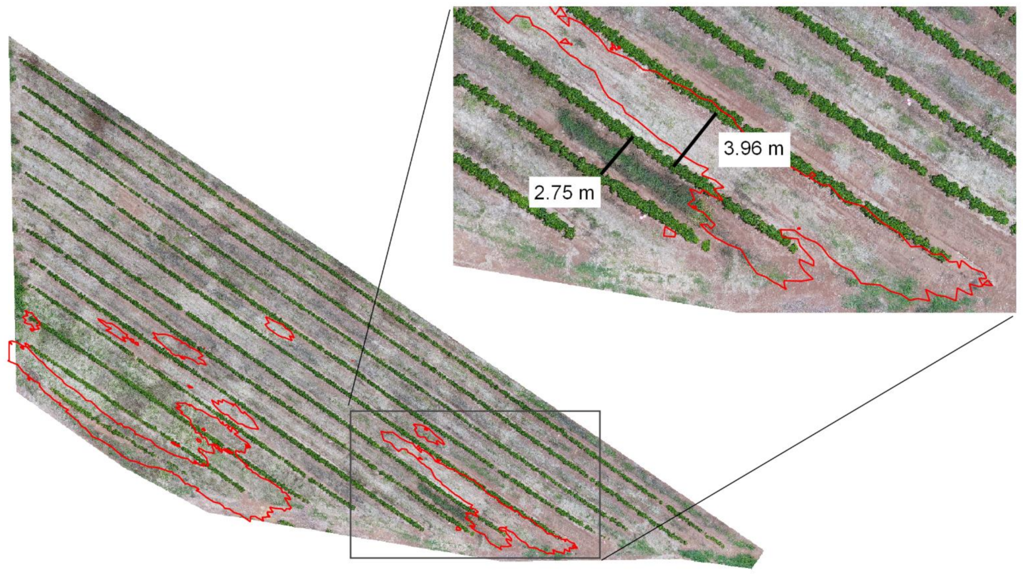 Agronomy 11 01224 g011 Agronomy 11 01224 g011