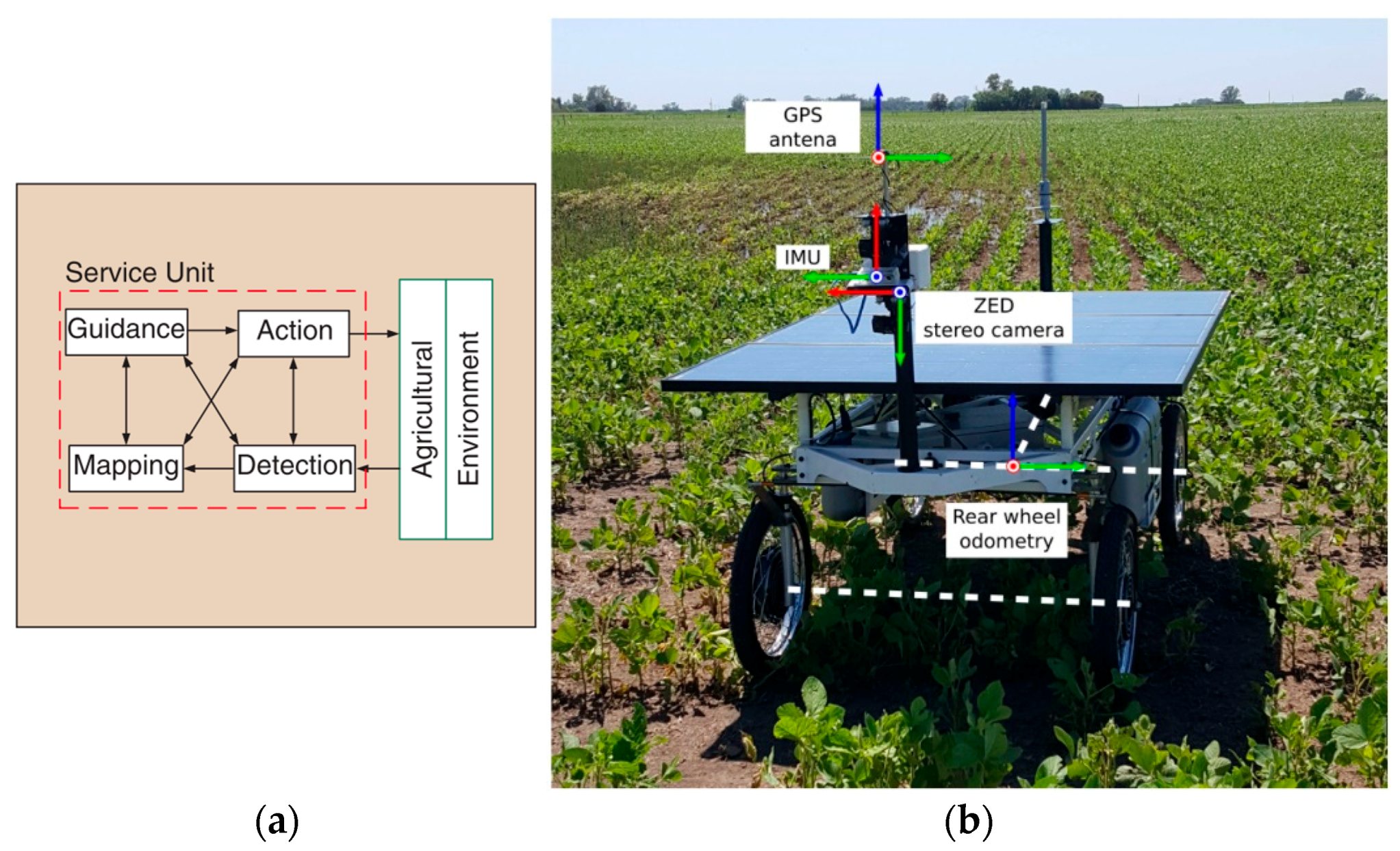 Agronomy 11 01227 g008