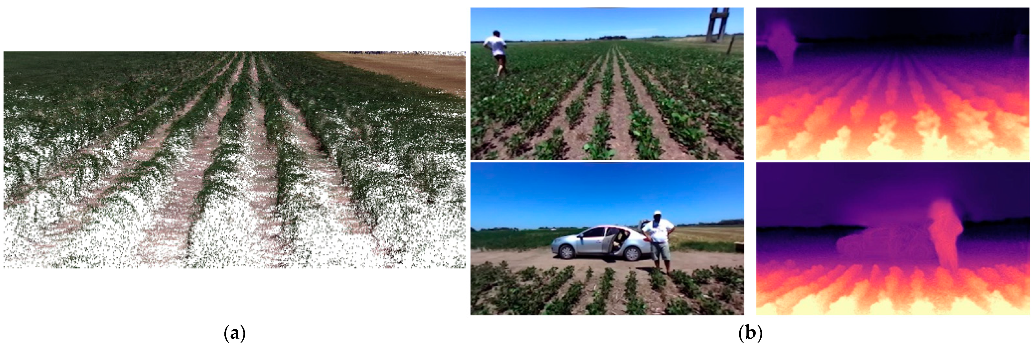 Agronomy 11 01227 g009