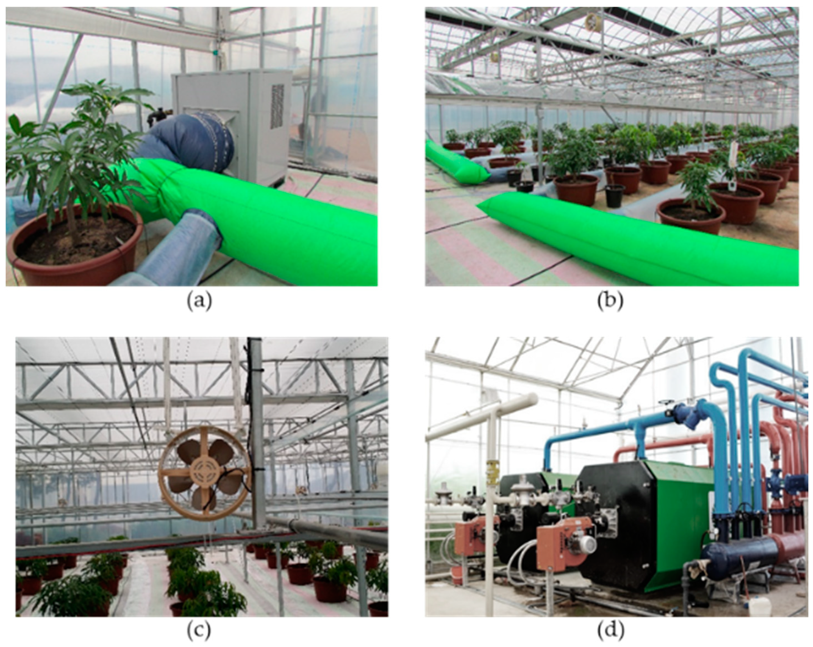 Agronomy 11 01230 g003 Agronomy 11 01230 g003