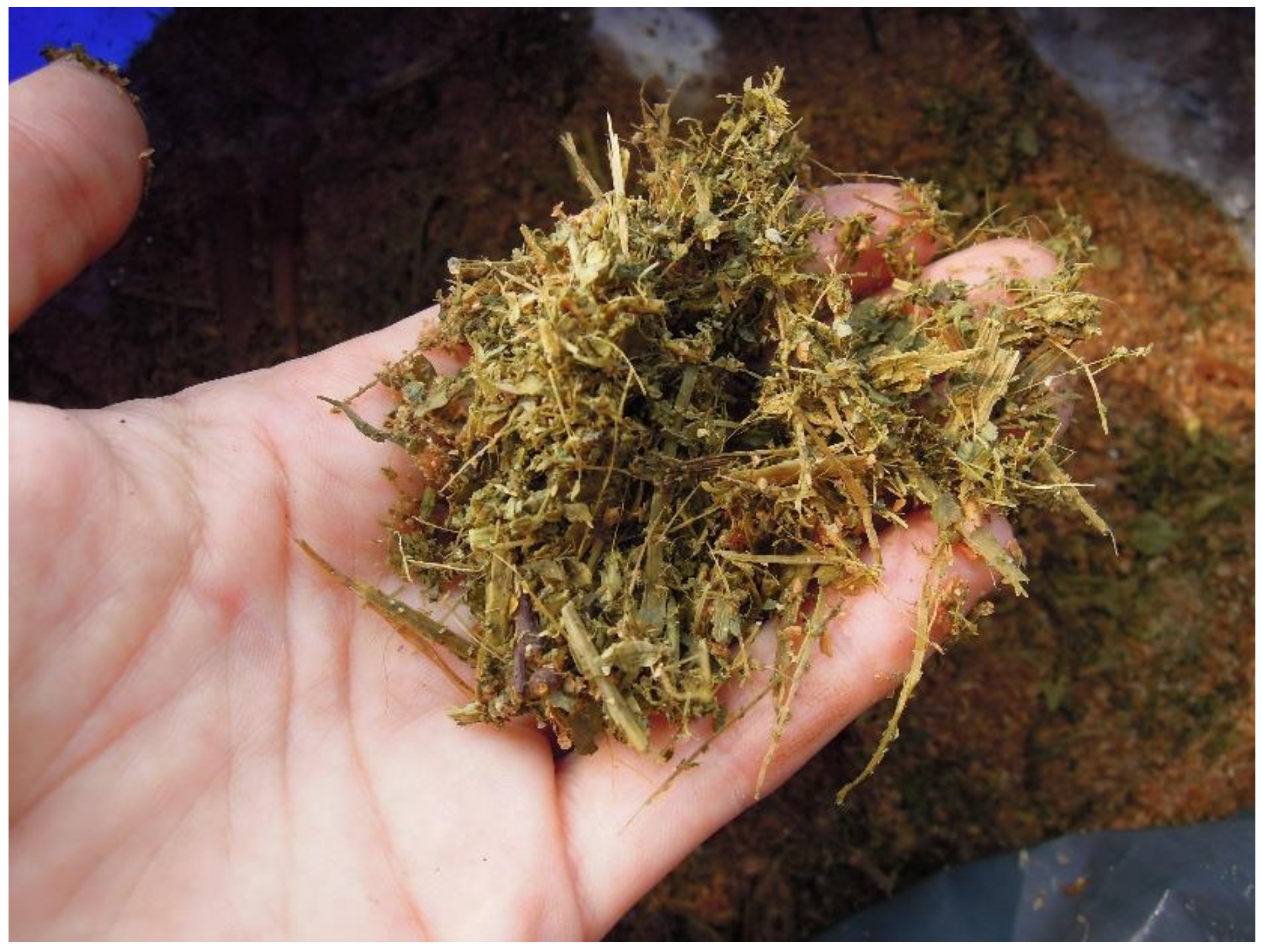 Agronomy 11 01232 g002