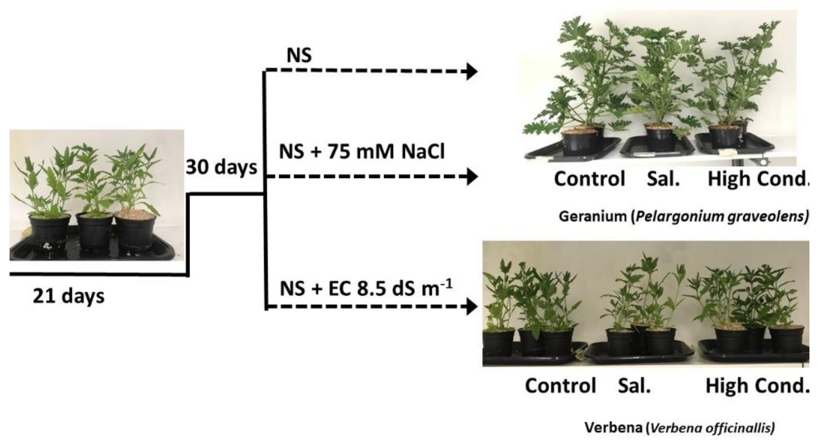 Agronomy 11 01237 g001 Agronomy 11 01237 g001