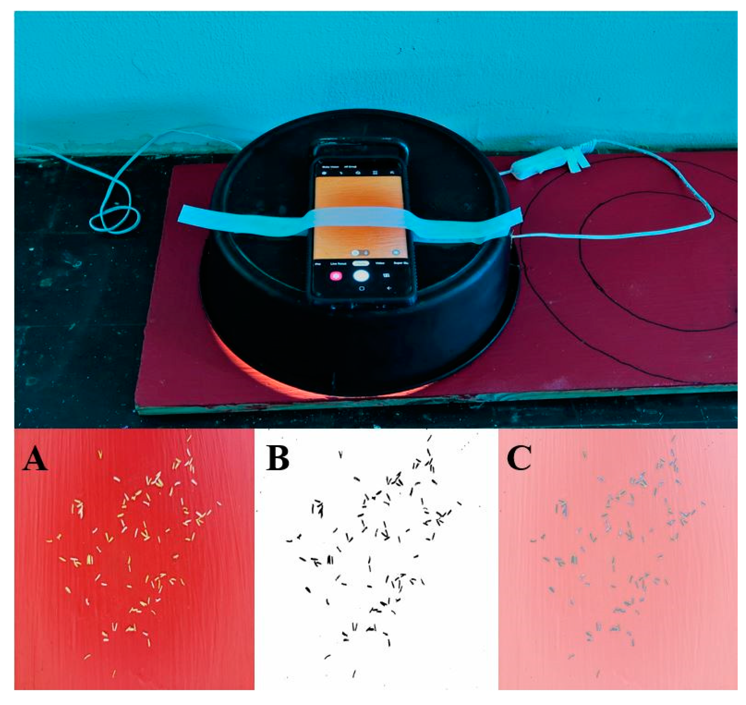 Agronomy 11 01244 g001