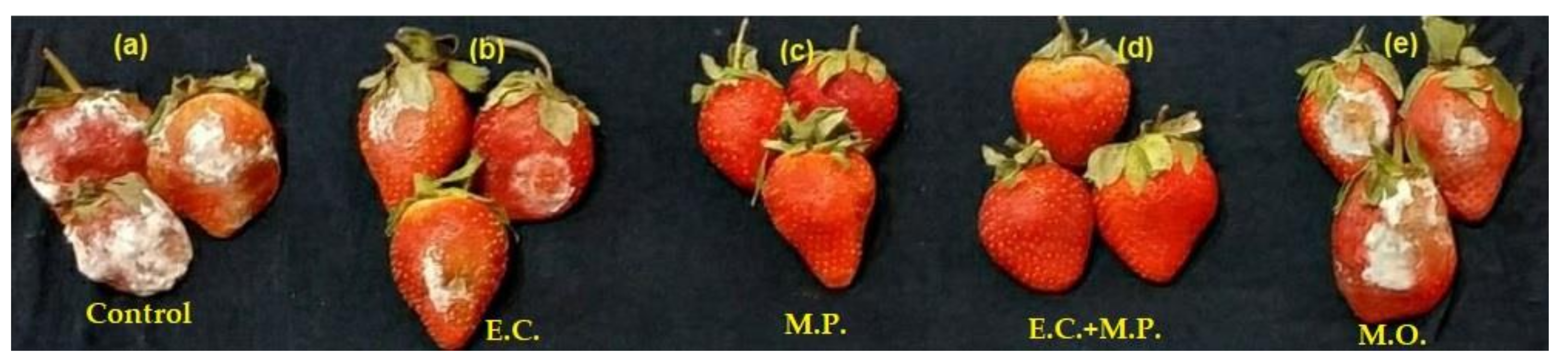 Agronomy 11 01246 g003