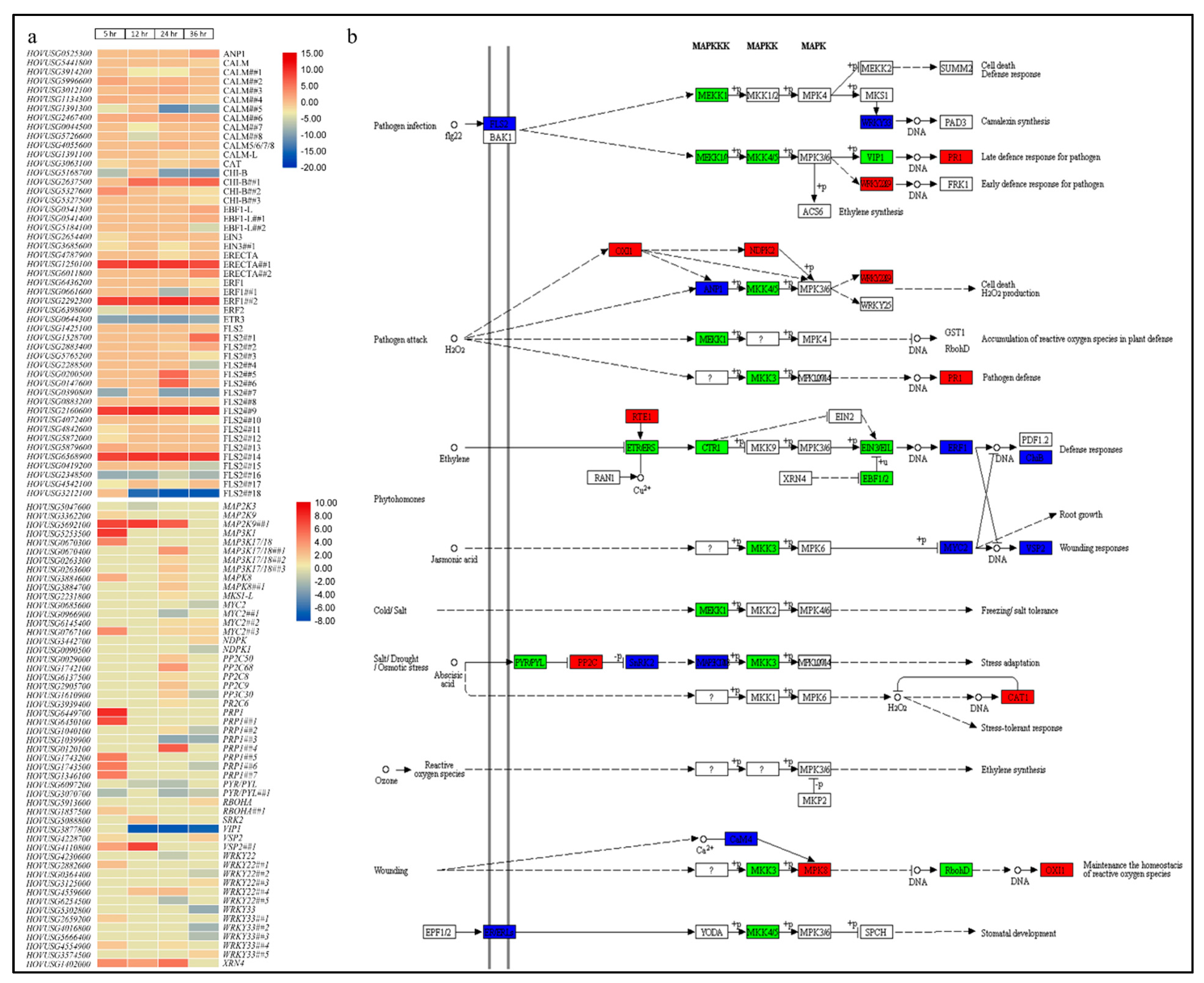 Agronomy 11 01248 g005 Agronomy 11 01248 g005