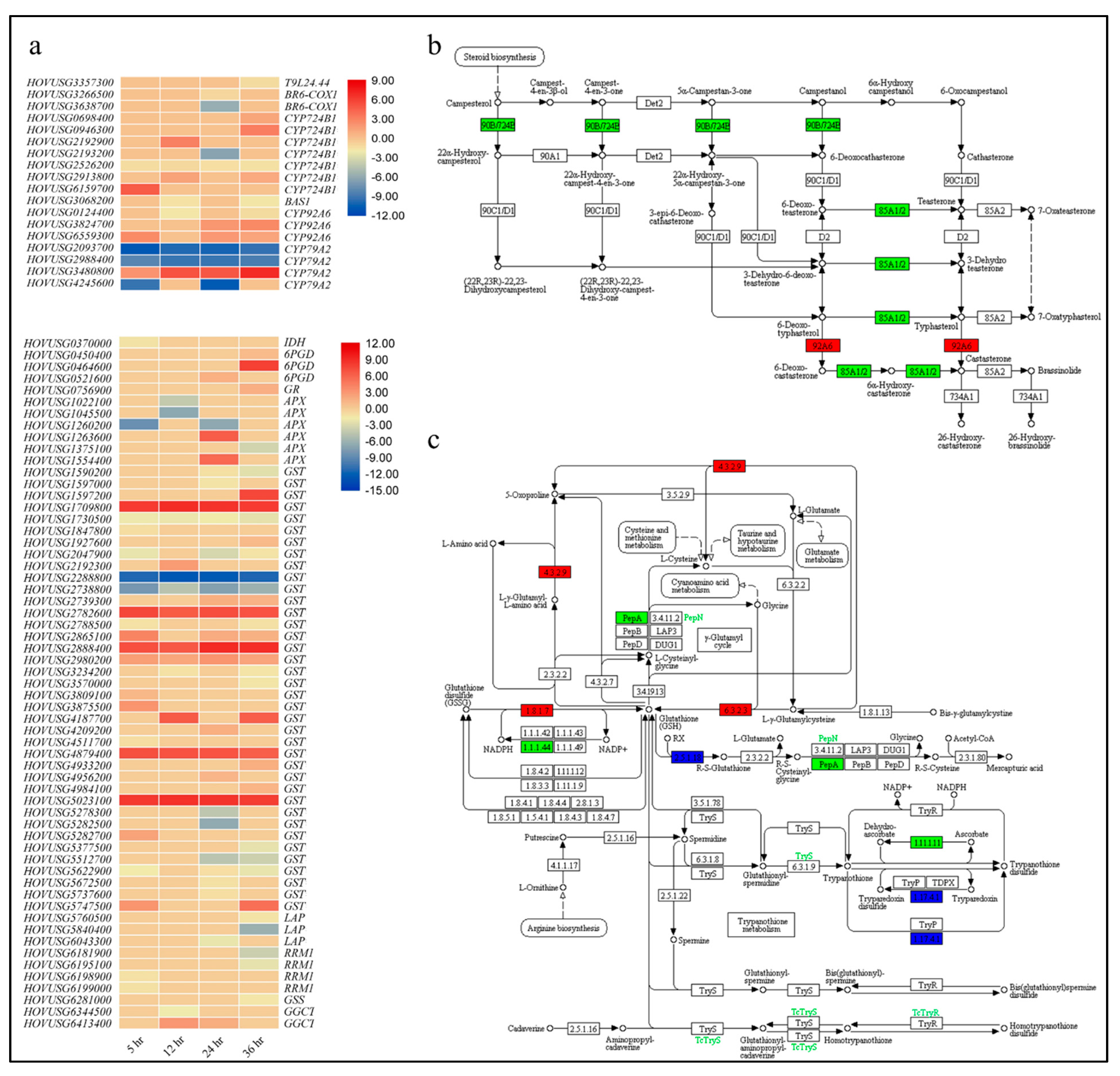 Agronomy 11 01248 g006 Agronomy 11 01248 g006
