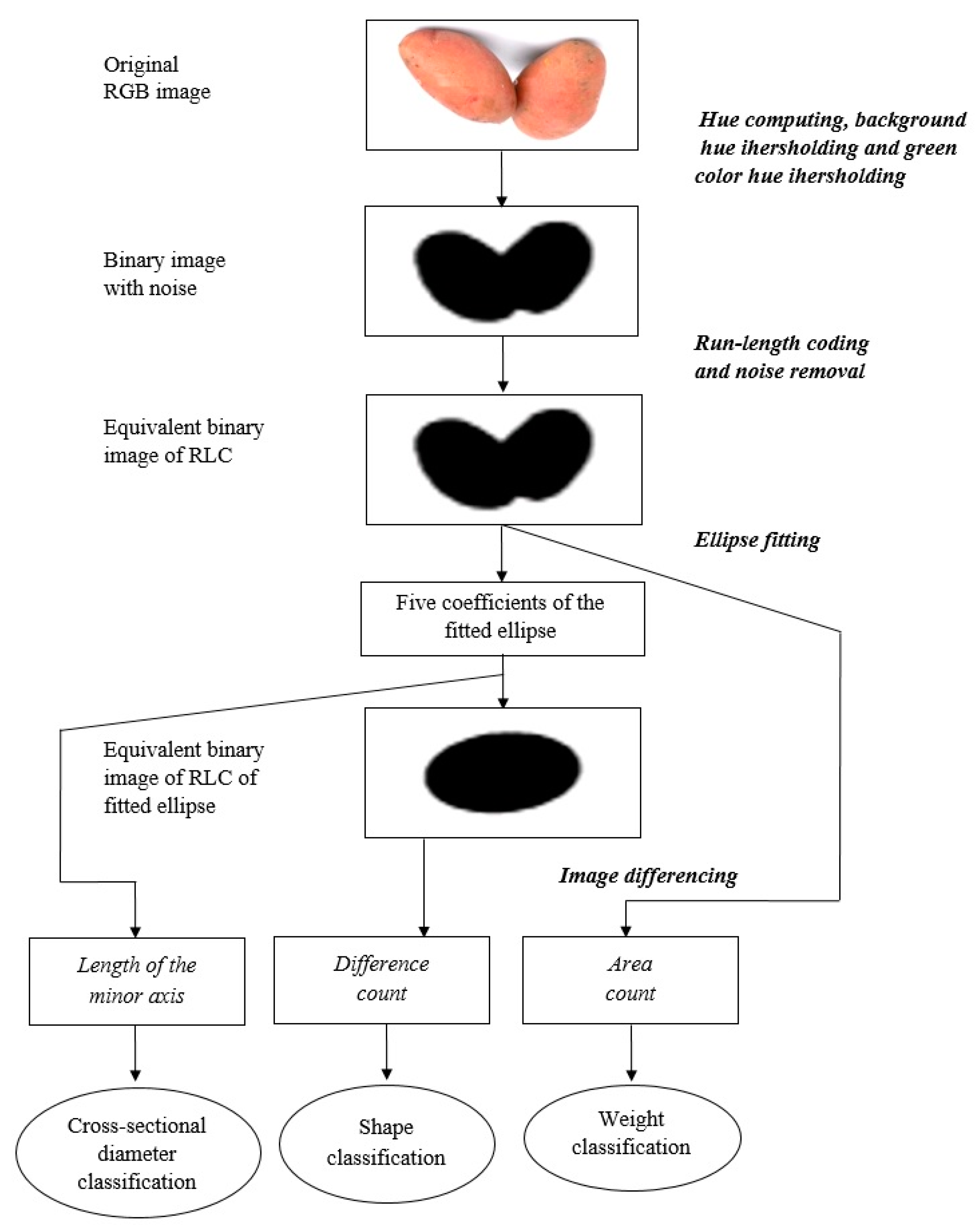 Agronomy 11 01257 g006