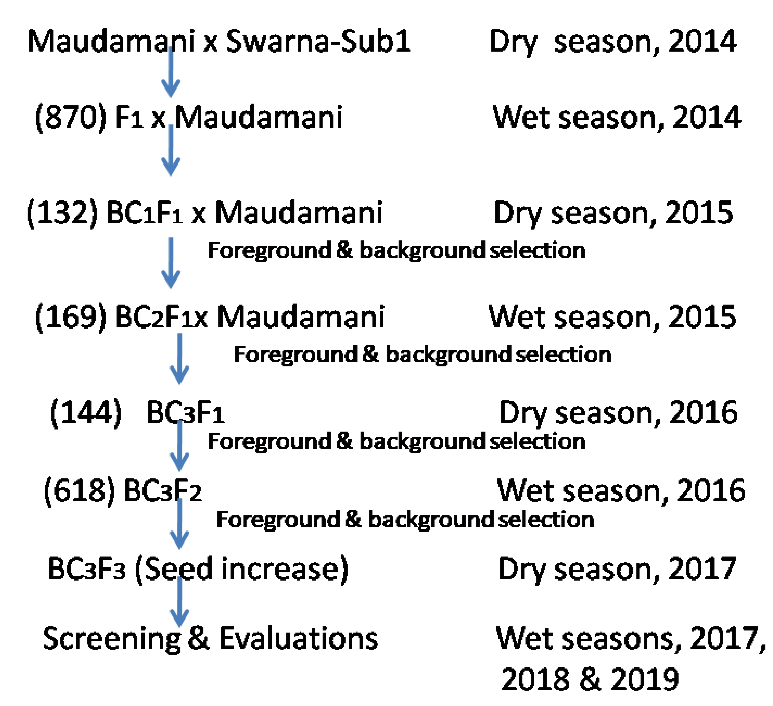 Agronomy 11 01263 g001